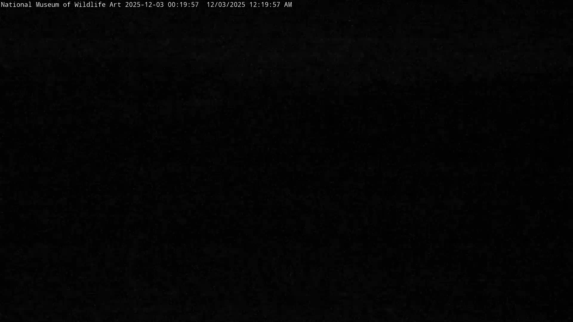 Jackson Hole, Elk Refuge from National Museum of Wildlife Art Live Cam -  Jackson, Teton, Wyoming, USA