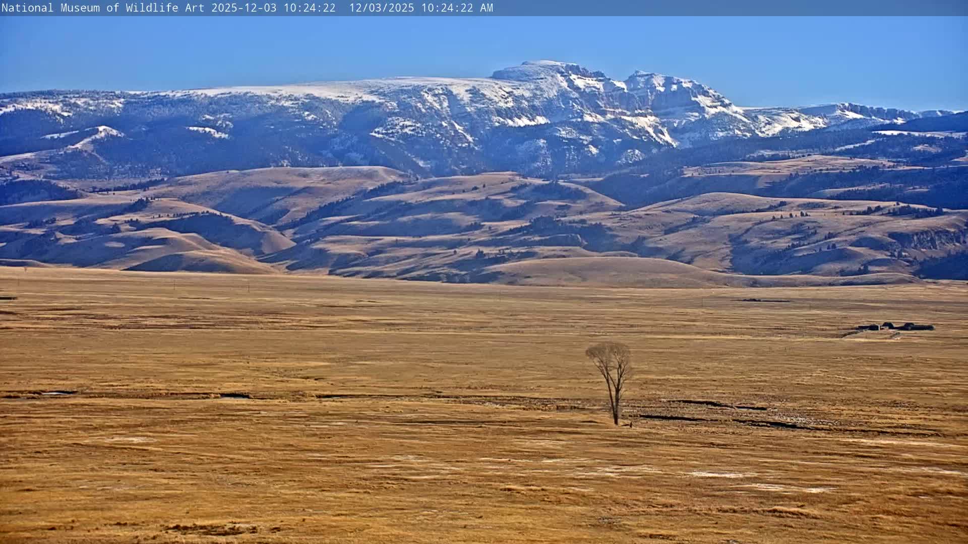 Jackson Hole, Elk Refuge from National Museum of Wildlife Art Live Cam -  Jackson, Teton, Wyoming, USA