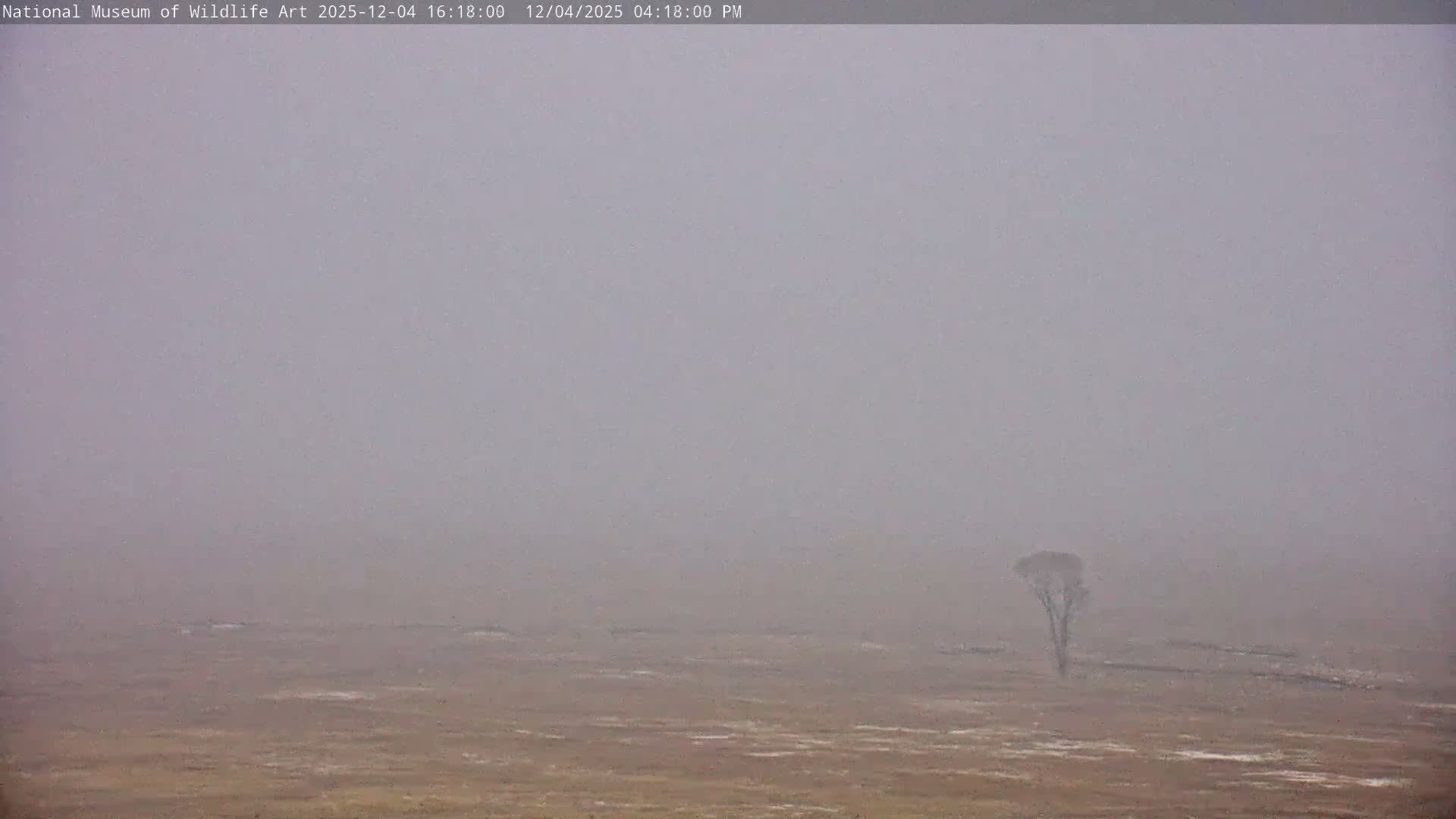 Jackson Hole, Elk Refuge from National Museum of Wildlife Art Live Cam -  Jackson, Teton, Wyoming, USA