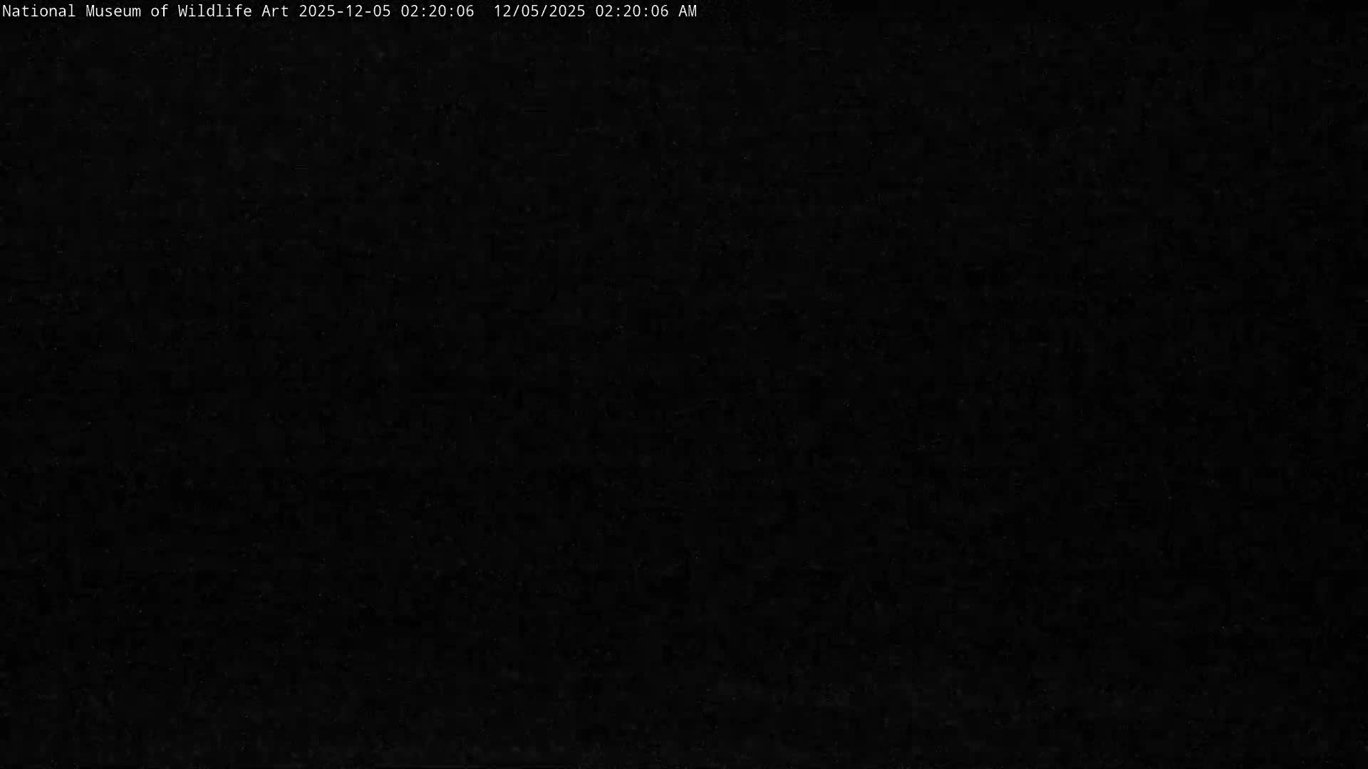 The image shows an almost completely dark scene at night with no discernible features or objects.