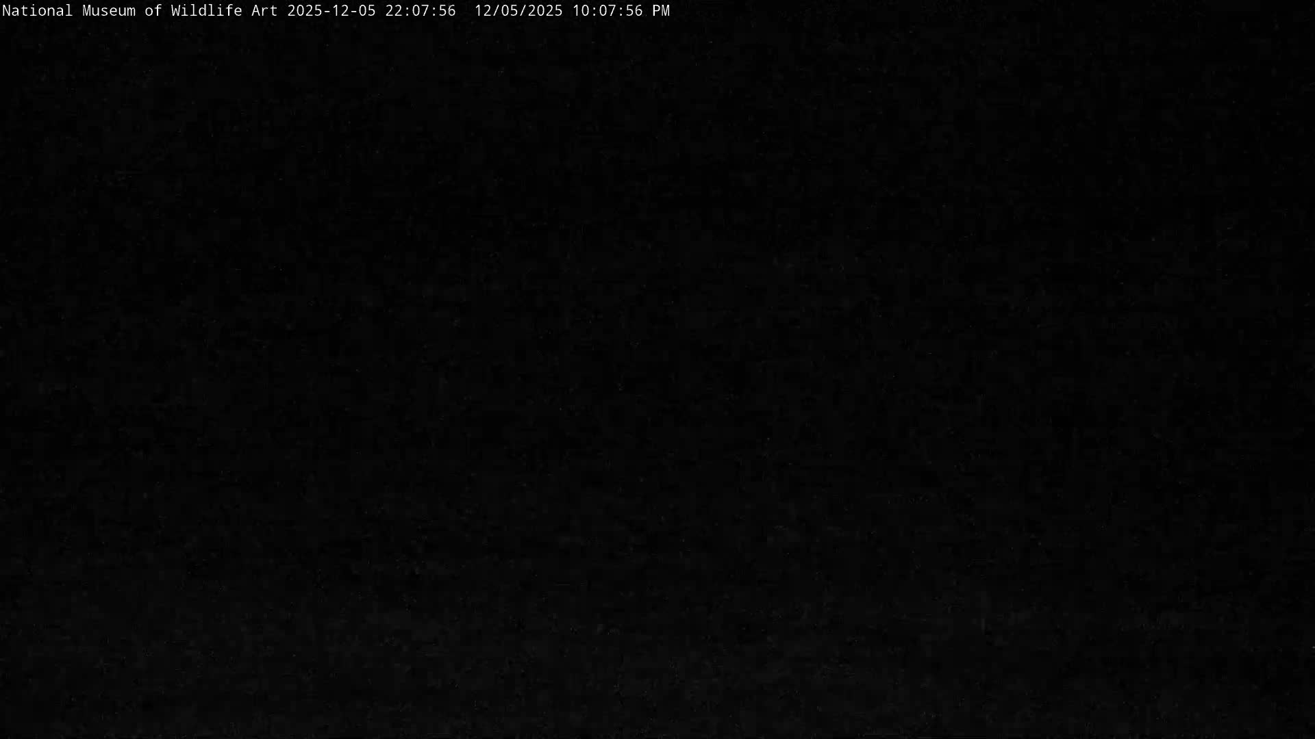 Jackson Hole, Elk Refuge from National Museum of Wildlife Art Live Cam -  Jackson, Teton, Wyoming, USA