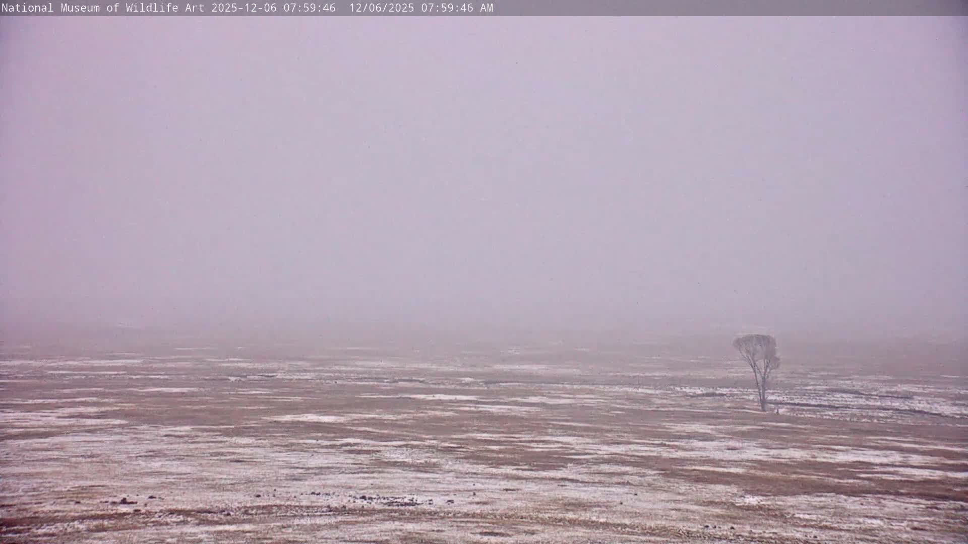 Jackson Hole, Elk Refuge from National Museum of Wildlife Art Live Cam -  Jackson, Teton, Wyoming, USA