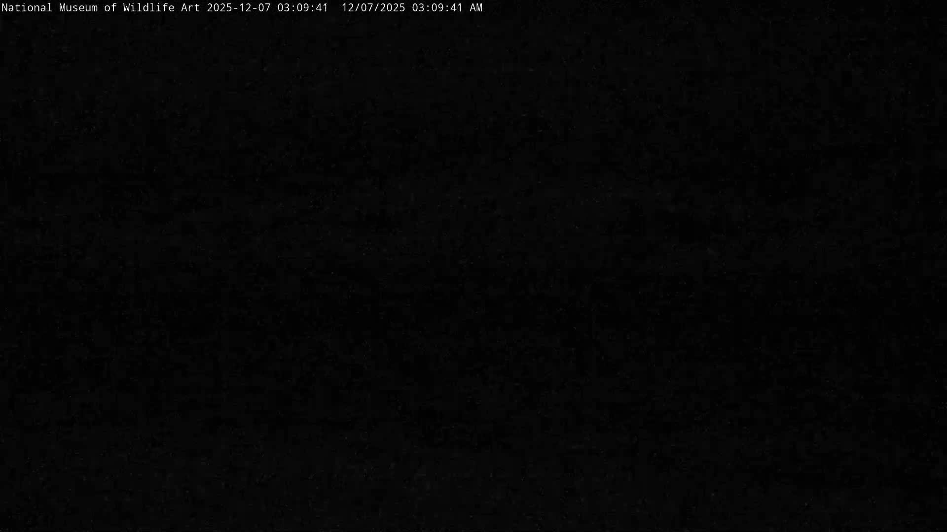 Jackson Hole, Elk Refuge from National Museum of Wildlife Art Live Cam -  Jackson, Teton, Wyoming, USA