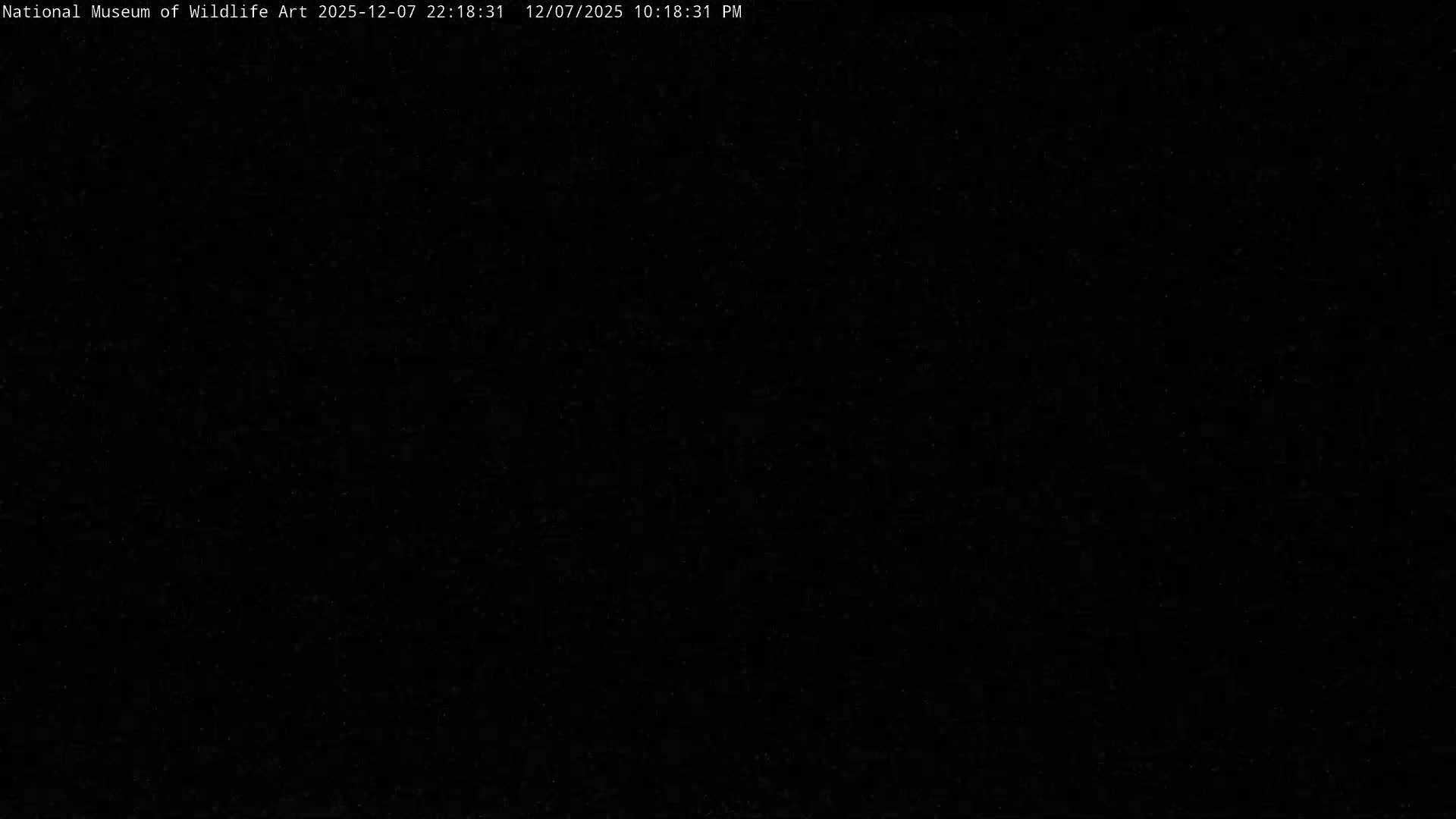 Jackson Hole, Elk Refuge from National Museum of Wildlife Art Live Cam -  Jackson, Teton, Wyoming, USA