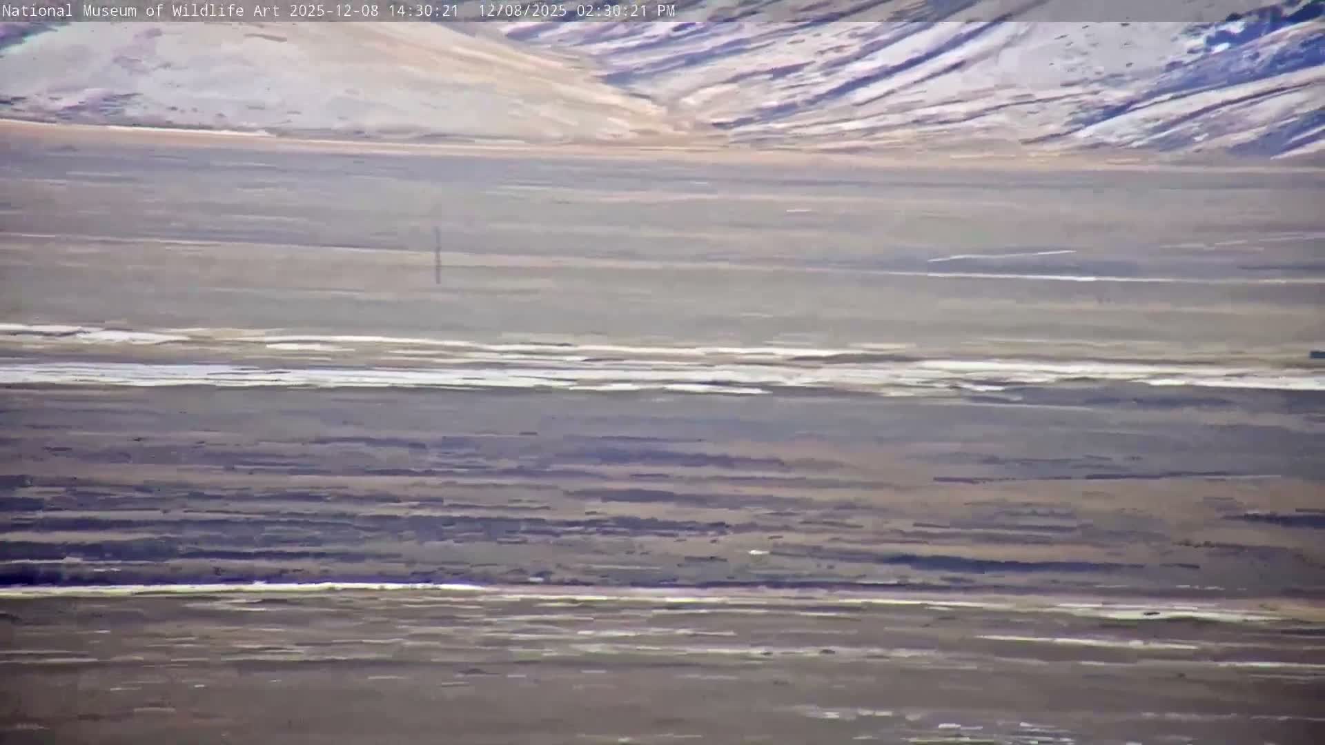 Jackson Hole, Elk Refuge from National Museum of Wildlife Art Live Cam -  Jackson, Teton, Wyoming, USA