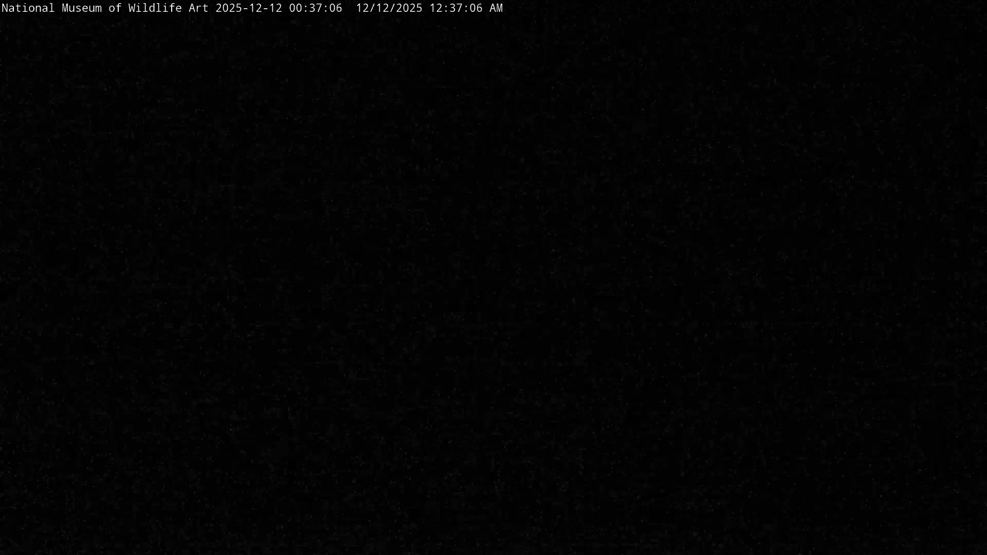 Jackson Hole, Elk Refuge from National Museum of Wildlife Art Live Cam -  Jackson, Teton, Wyoming, USA