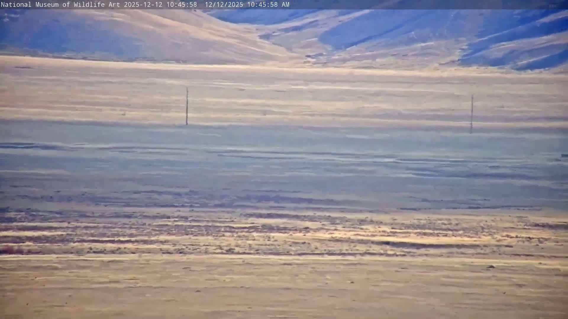 Jackson Hole, Elk Refuge from National Museum of Wildlife Art Live Cam -  Jackson, Teton, Wyoming, USA