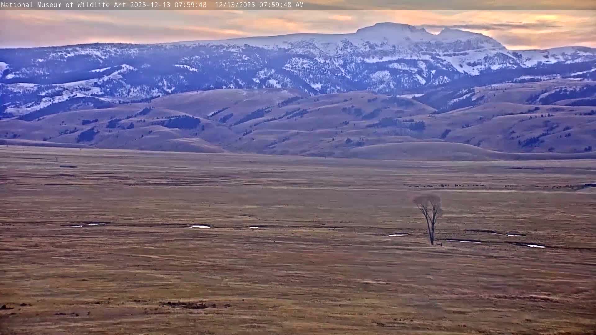 Jackson Hole, Elk Refuge from National Museum of Wildlife Art Live Cam -  Jackson, Teton, Wyoming, USA