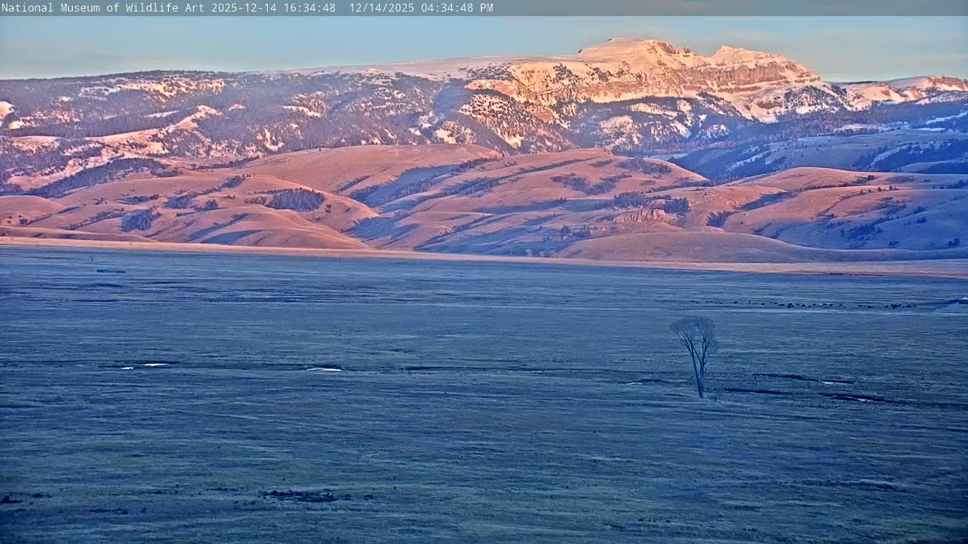 The image shows an almost completely dark scene at night with no discernible features or objects.