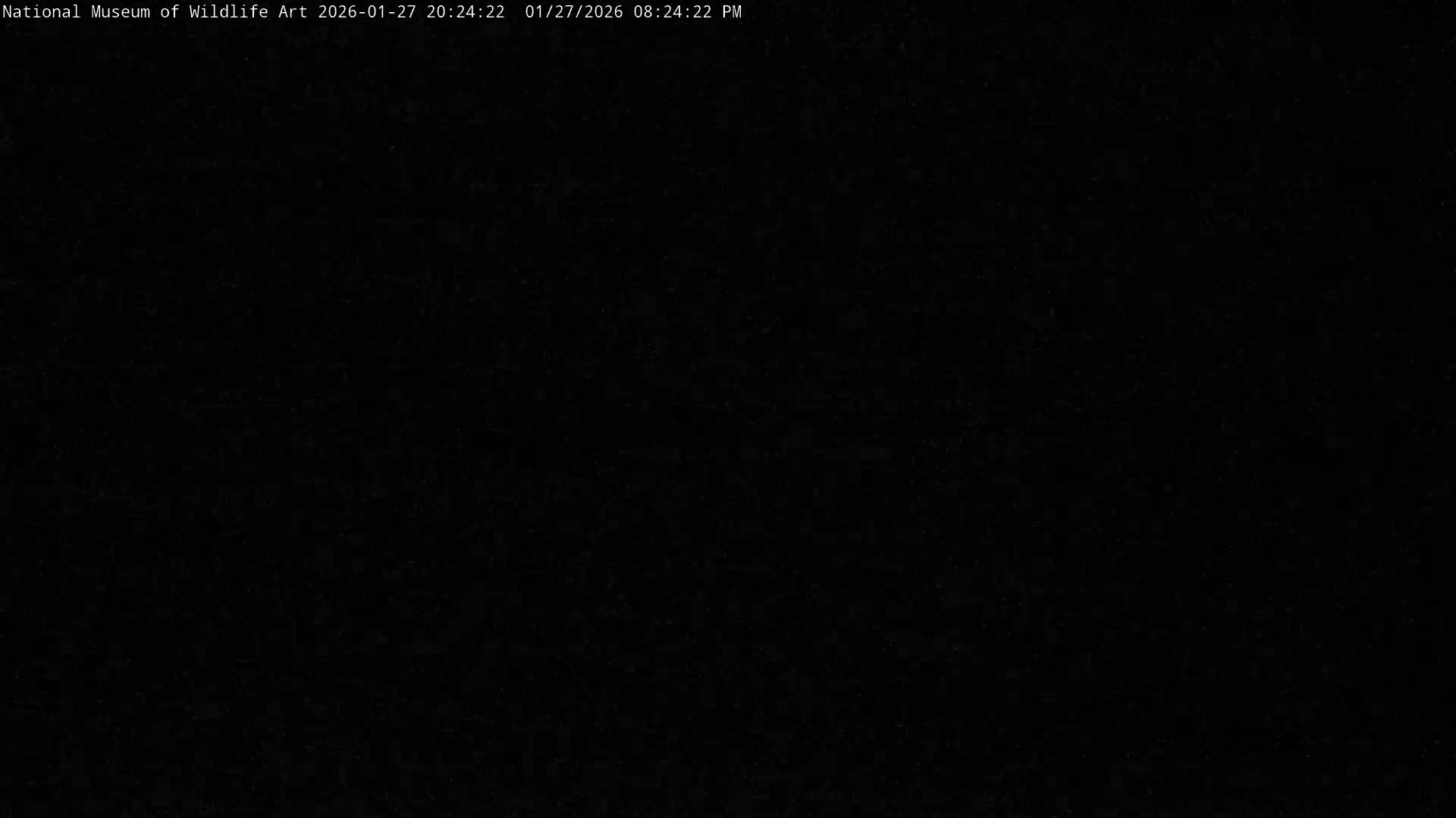 Jackson Hole, Elk Refuge from National Museum of Wildlife Art Live Cam -  Jackson, Teton, Wyoming, USA