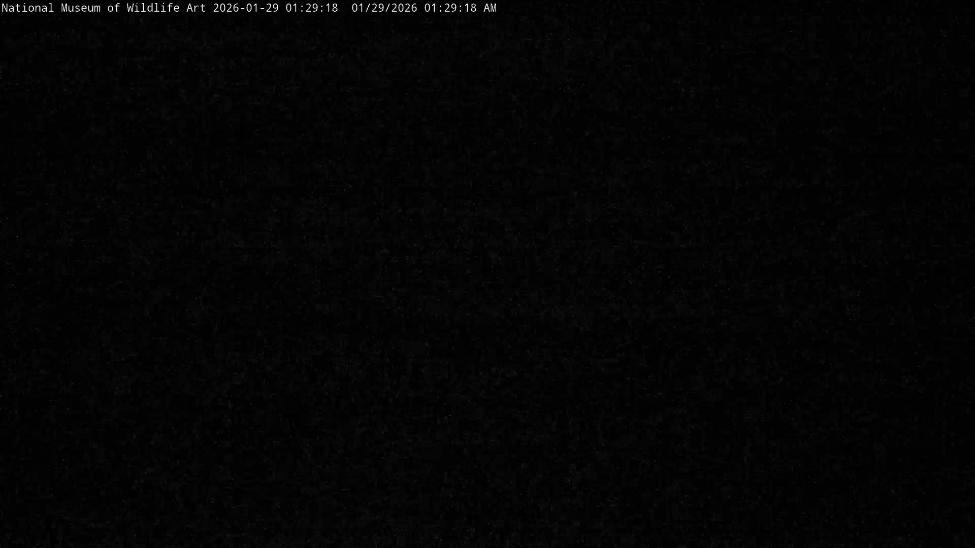 Jackson Hole, Elk Refuge from National Museum of Wildlife Art Live Cam -  Jackson, Teton, Wyoming, USA