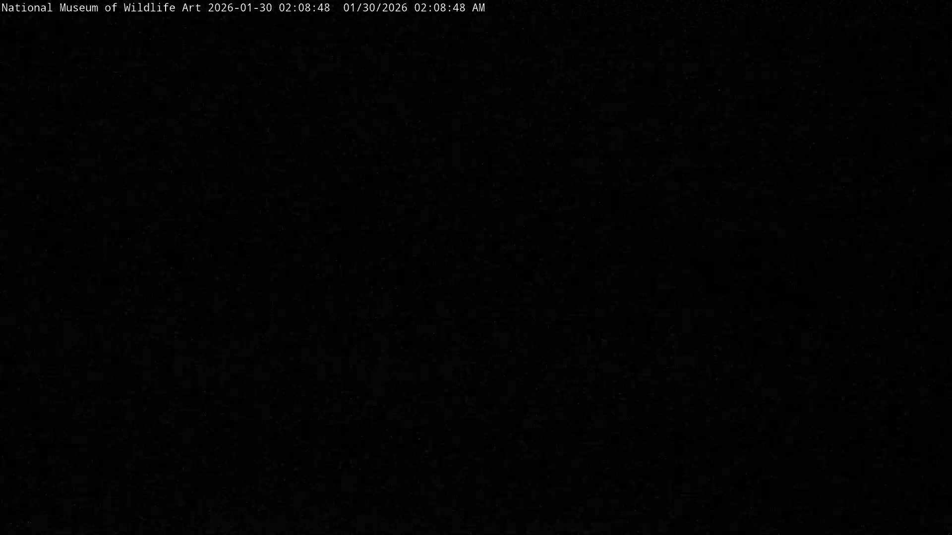 Jackson Hole, Elk Refuge from National Museum of Wildlife Art Live Cam -  Jackson, Teton, Wyoming, USA