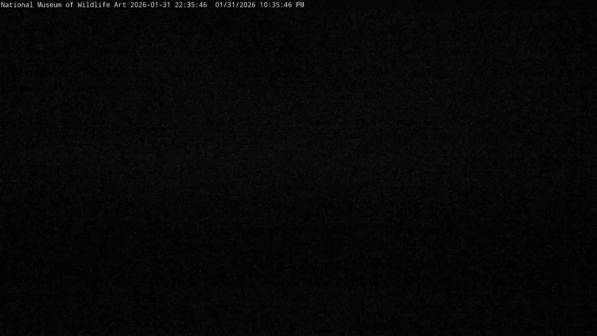 Jackson Hole, Elk Refuge from National Museum of Wildlife Art Live Cam -  Jackson, Teton, Wyoming, USA