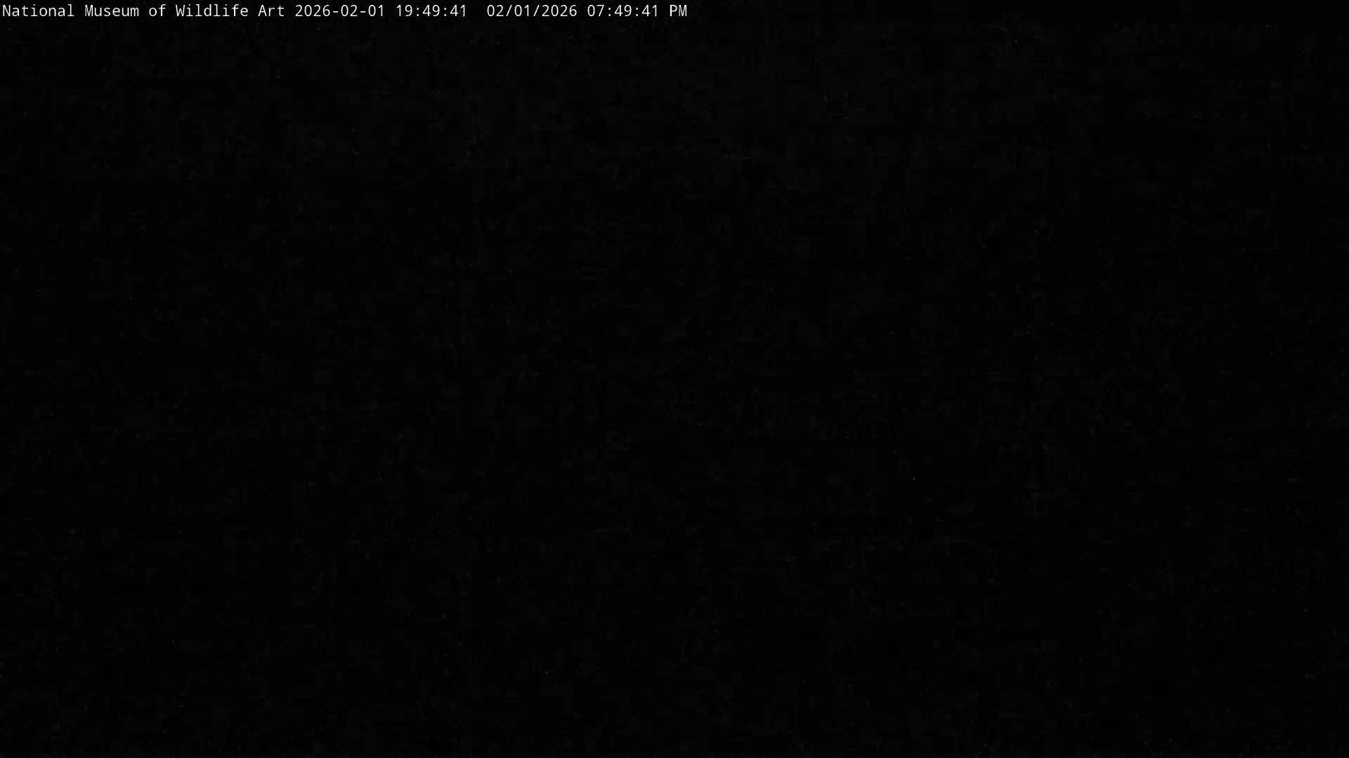 Jackson Hole, Elk Refuge from National Museum of Wildlife Art Live Cam -  Jackson, Teton, Wyoming, USA
