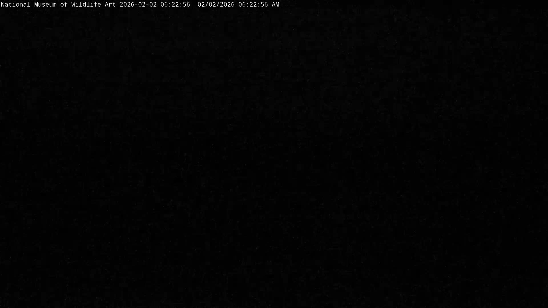 Jackson Hole, Elk Refuge from National Museum of Wildlife Art Live Cam -  Jackson, Teton, Wyoming, USA