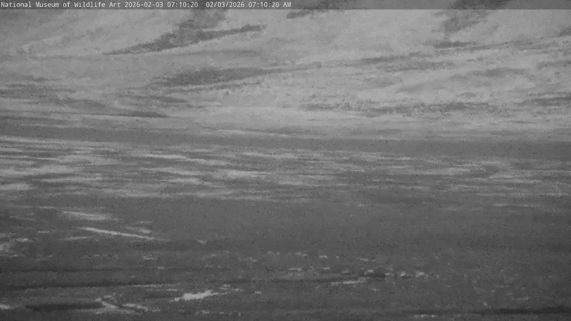 Jackson Hole, Elk Refuge from National Museum of Wildlife Art Live Cam -  Jackson, Teton, Wyoming, USA