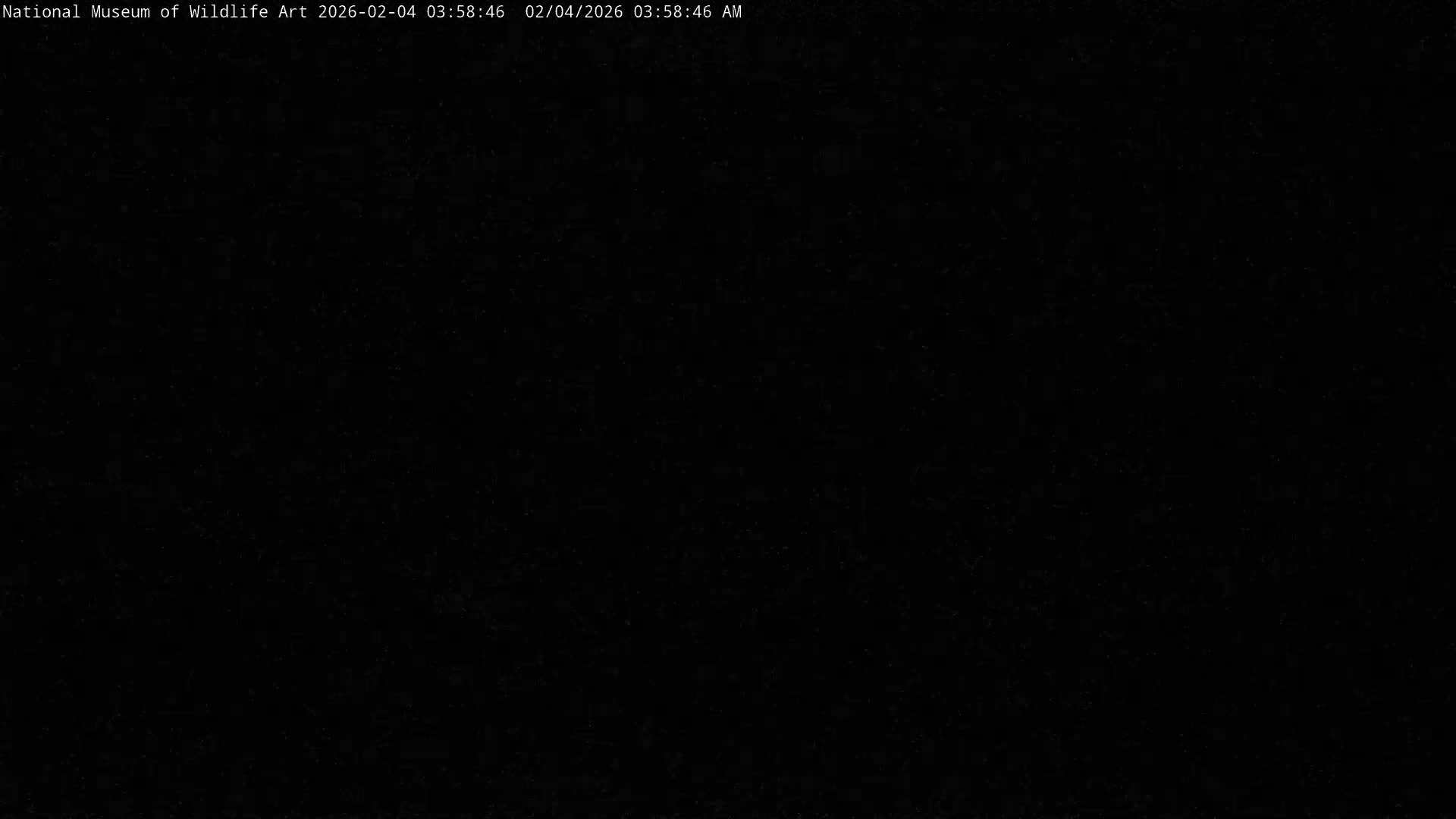 Jackson Hole, Elk Refuge from National Museum of Wildlife Art Live Cam -  Jackson, Teton, Wyoming, USA
