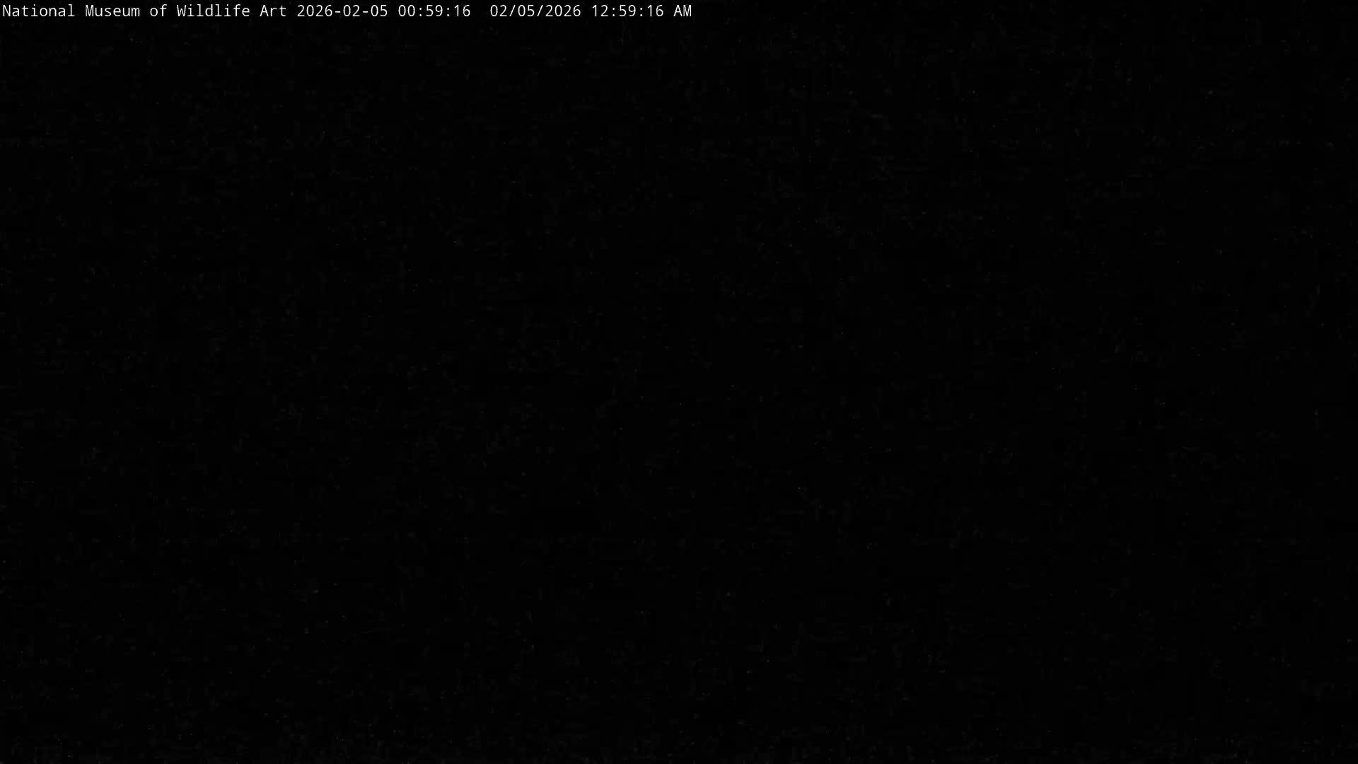 Jackson Hole, Elk Refuge from National Museum of Wildlife Art Live Cam -  Jackson, Teton, Wyoming, USA