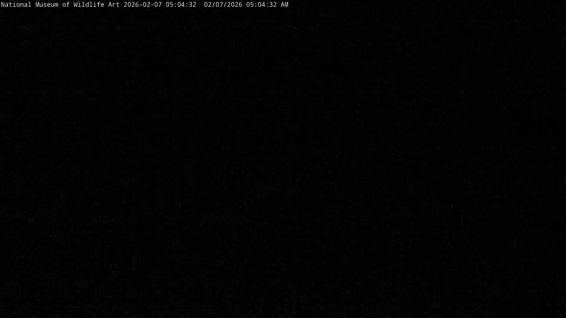 Jackson Hole, Elk Refuge from National Museum of Wildlife Art Live Cam -  Jackson, Teton, Wyoming, USA