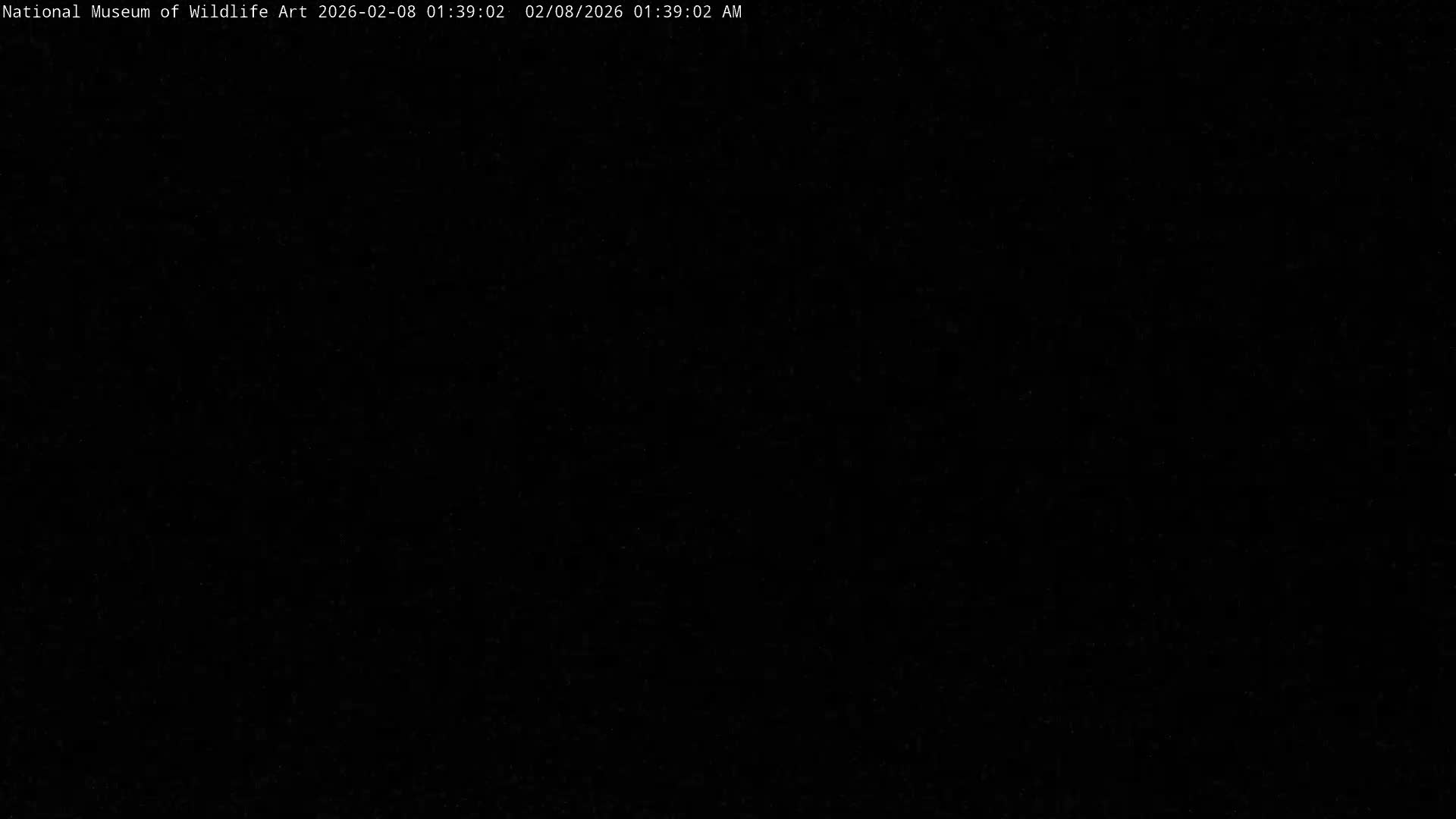 Jackson Hole, Elk Refuge from National Museum of Wildlife Art Live Cam -  Jackson, Teton, Wyoming, USA