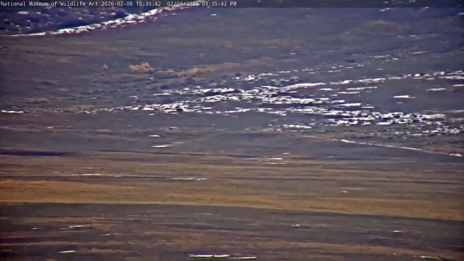 Jackson Hole, Elk Refuge from National Museum of Wildlife Art Live Cam -  Jackson, Teton, Wyoming, USA