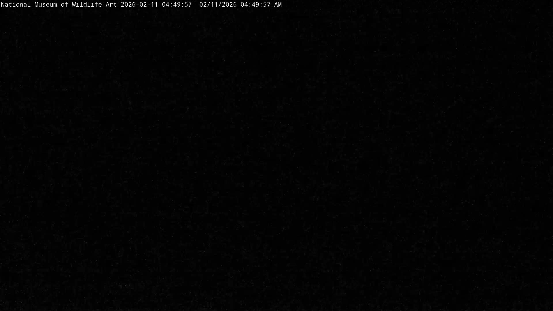Jackson Hole, Elk Refuge from National Museum of Wildlife Art Live Cam -  Jackson, Teton, Wyoming, USA