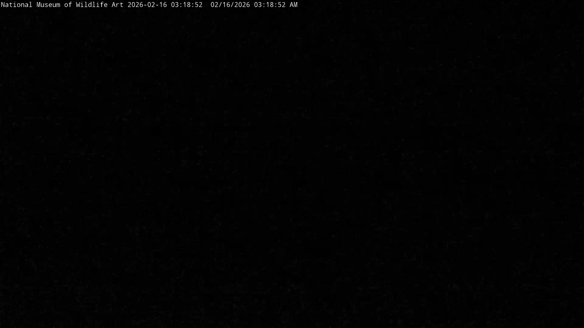 Jackson Hole, Elk Refuge from National Museum of Wildlife Art Live Cam -  Jackson, Teton, Wyoming, USA
