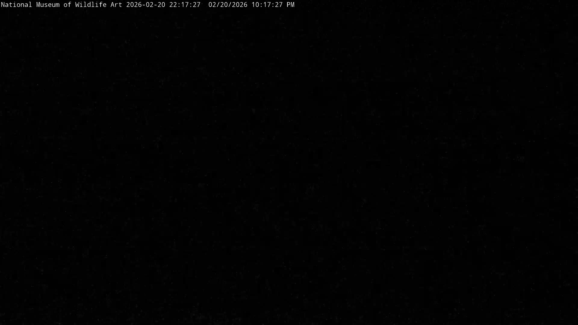 Jackson Hole, Elk Refuge from National Museum of Wildlife Art Live Cam -  Jackson, Teton, Wyoming, USA