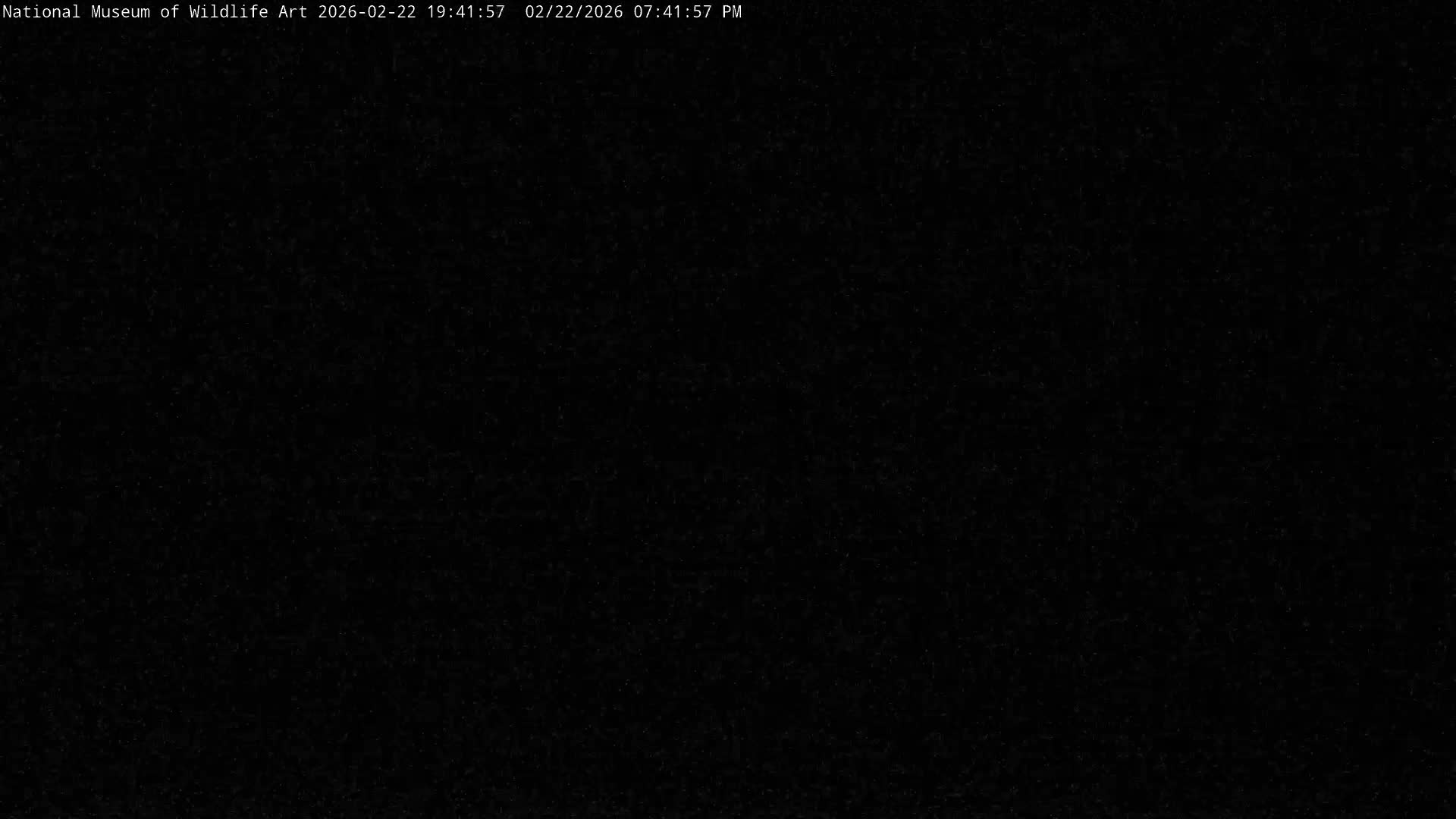 Jackson Hole, Elk Refuge from National Museum of Wildlife Art Live Cam -  Jackson, Teton, Wyoming, USA