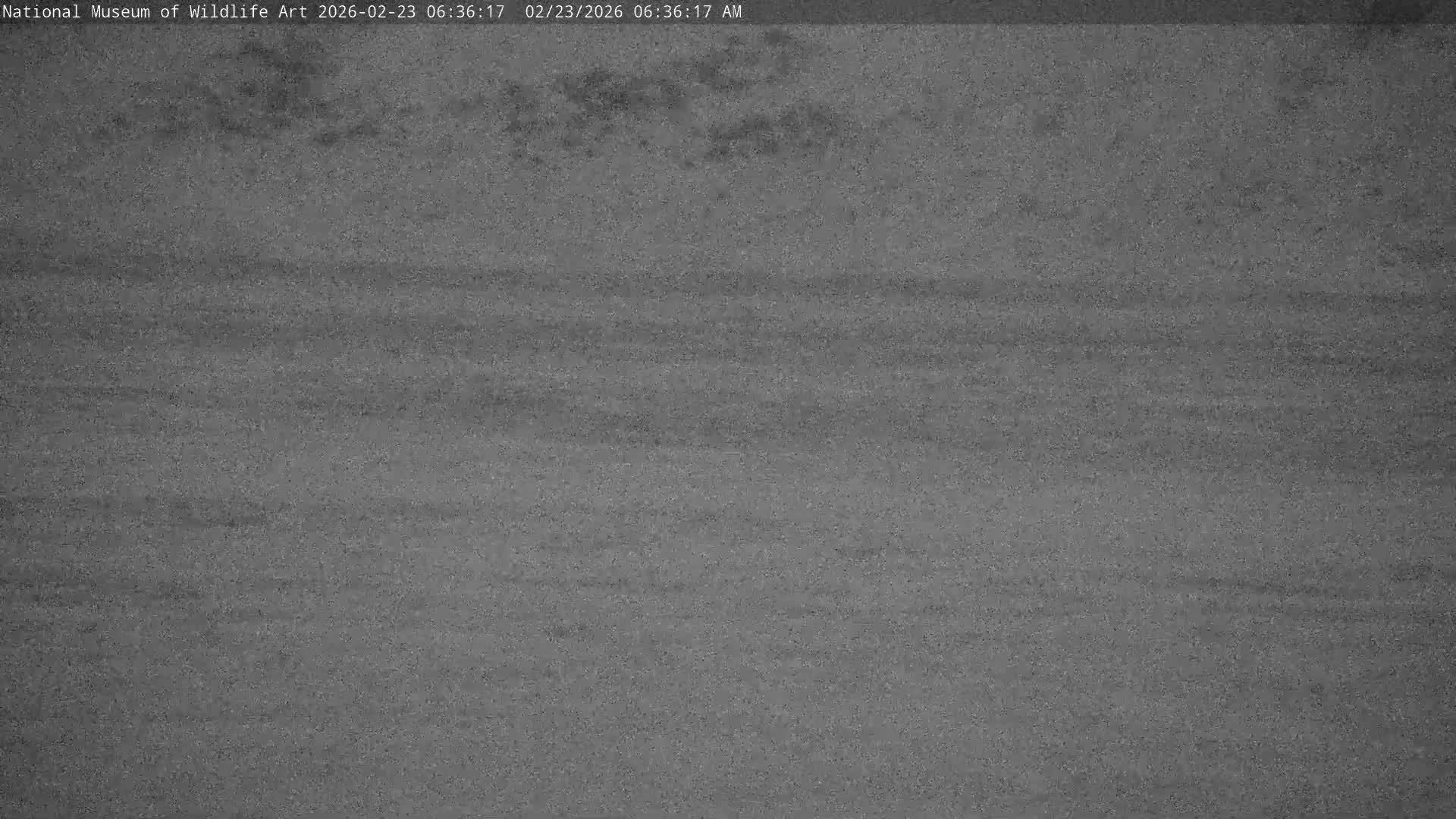 Jackson Hole, Elk Refuge from National Museum of Wildlife Art Live Cam -  Jackson, Teton, Wyoming, USA