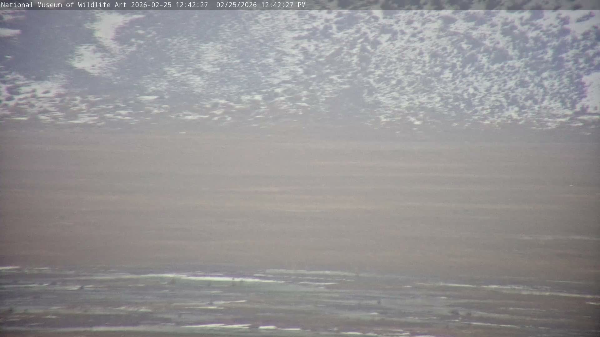 Jackson Hole, Elk Refuge from National Museum of Wildlife Art Live Cam -  Jackson, Teton, Wyoming, USA