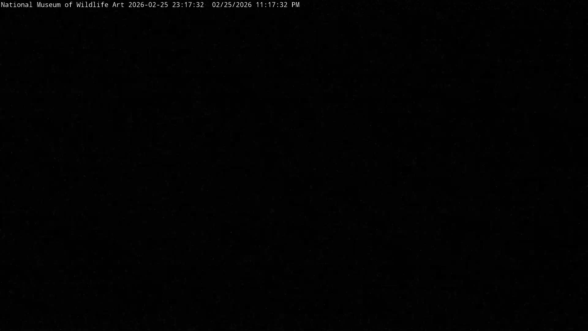 Jackson Hole, Elk Refuge from National Museum of Wildlife Art Live Cam -  Jackson, Teton, Wyoming, USA