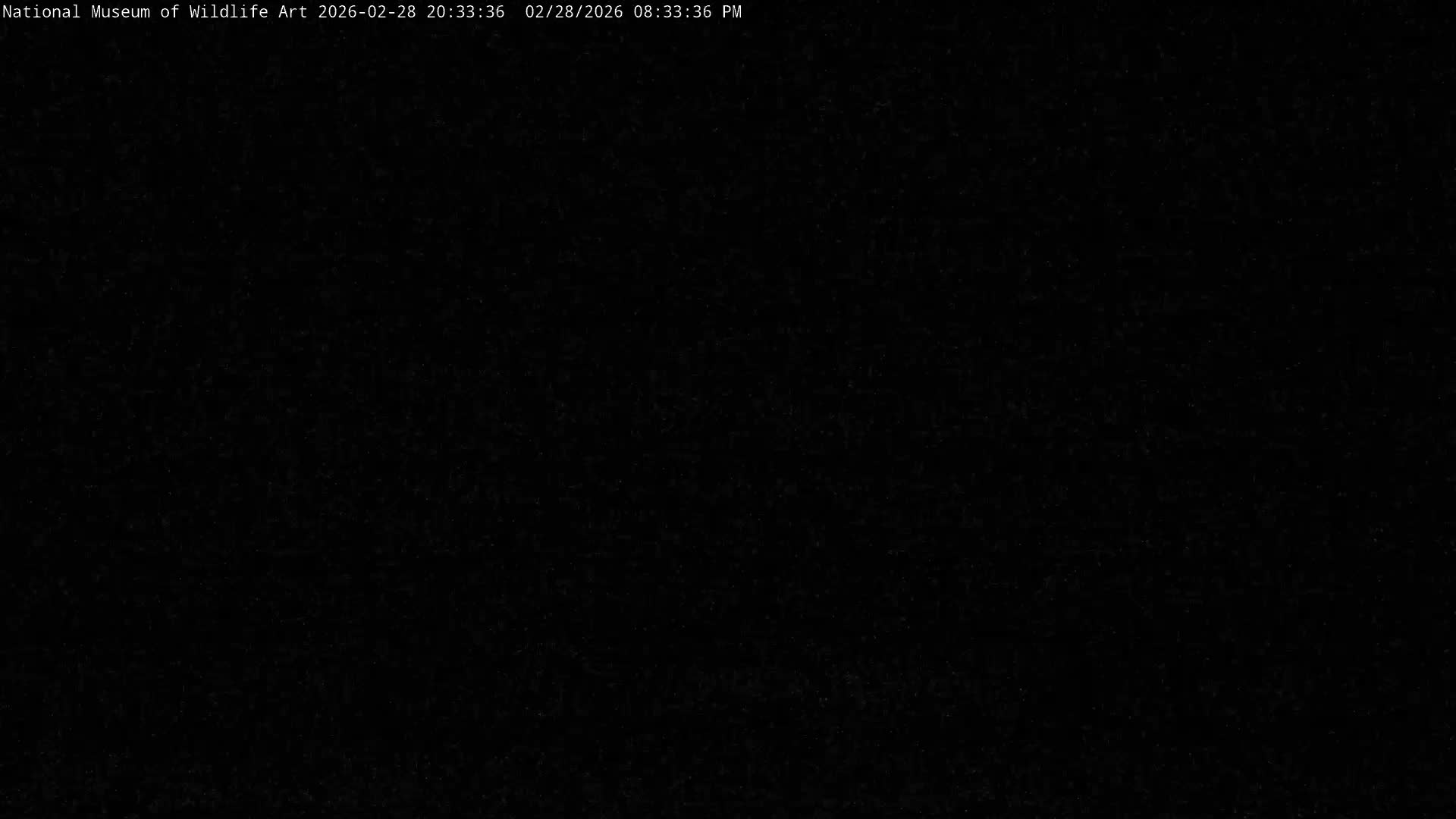 Jackson Hole, Elk Refuge from National Museum of Wildlife Art Live Cam -  Jackson, Teton, Wyoming, USA