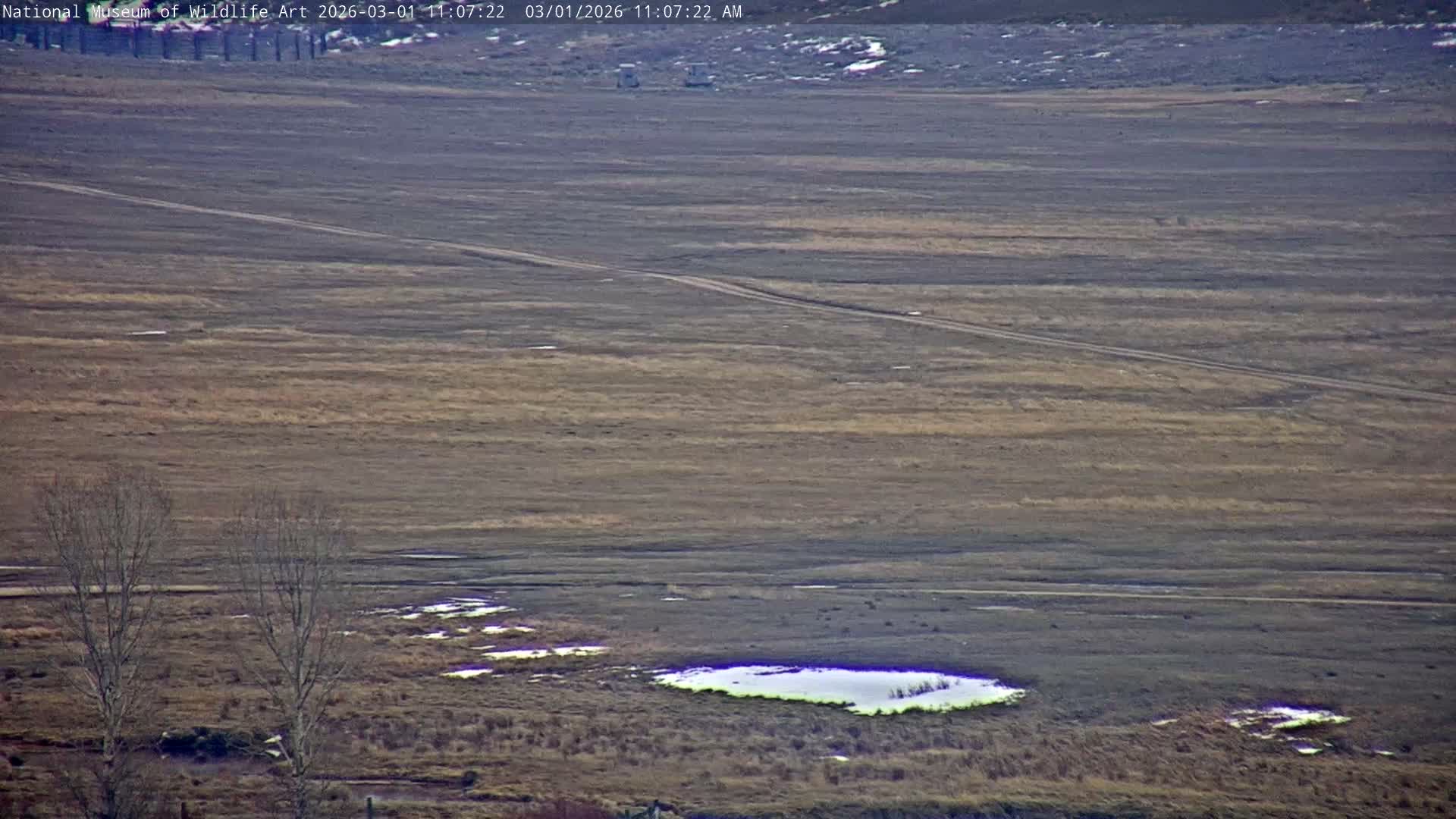 Jackson Hole, Elk Refuge from National Museum of Wildlife Art Live Cam -  Jackson, Teton, Wyoming, USA