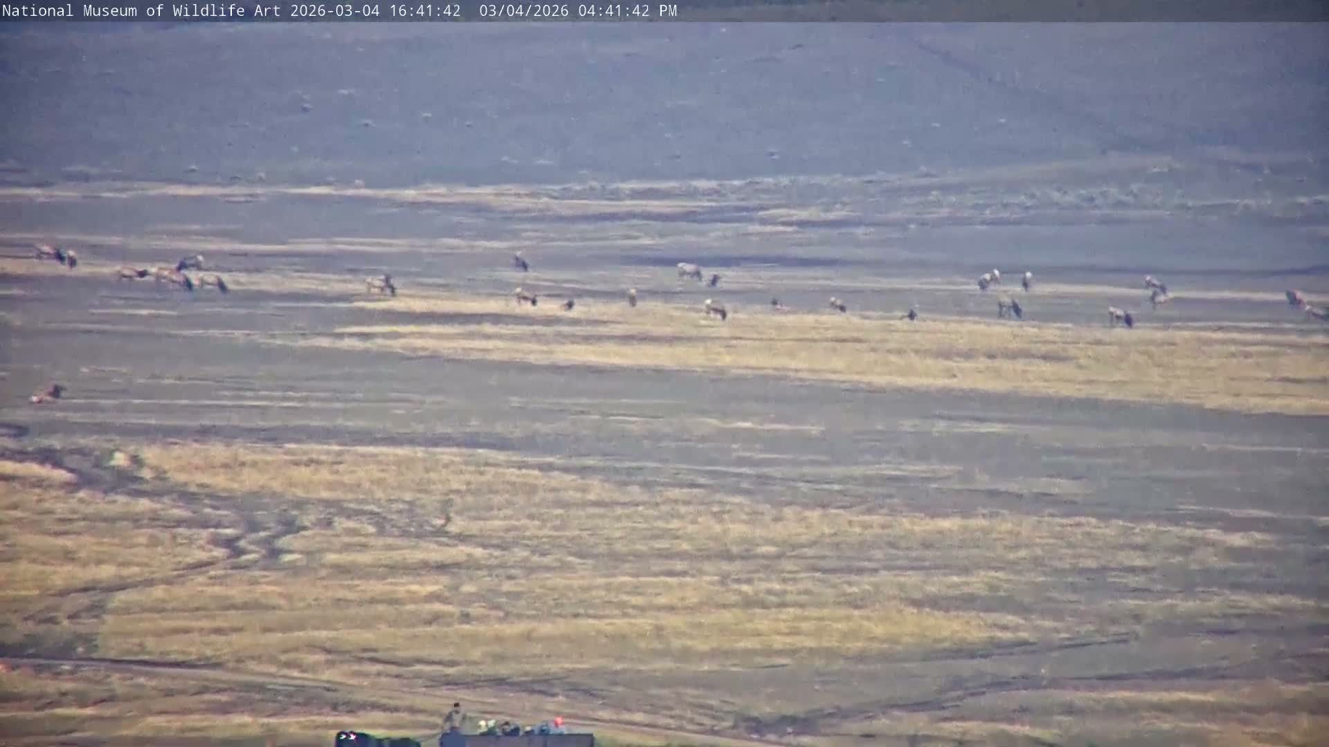 Jackson Hole, Elk Refuge from National Museum of Wildlife Art Live Cam -  Jackson, Teton, Wyoming, USA