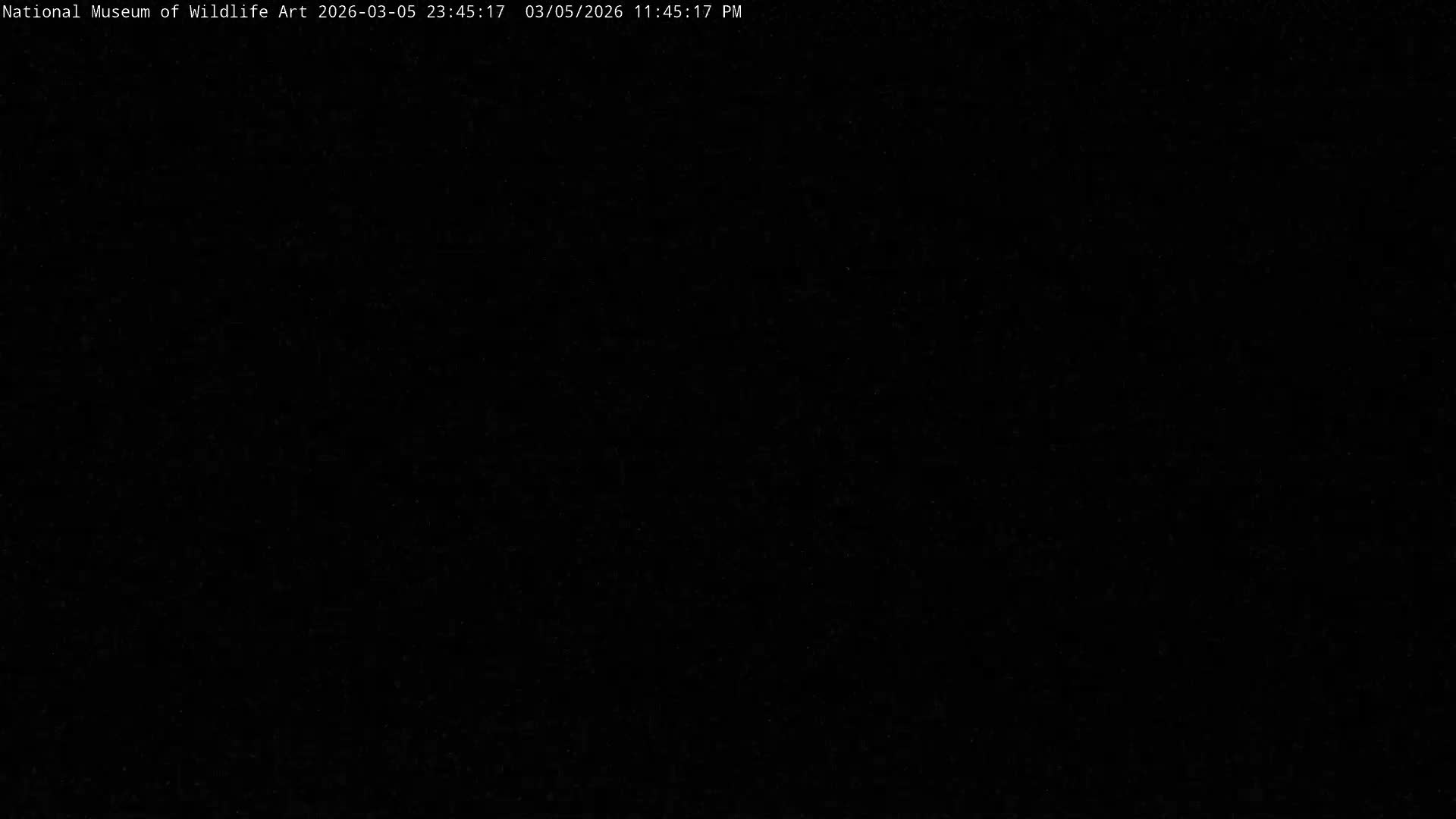 Jackson Hole, Elk Refuge from National Museum of Wildlife Art Live Cam -  Jackson, Teton, Wyoming, USA