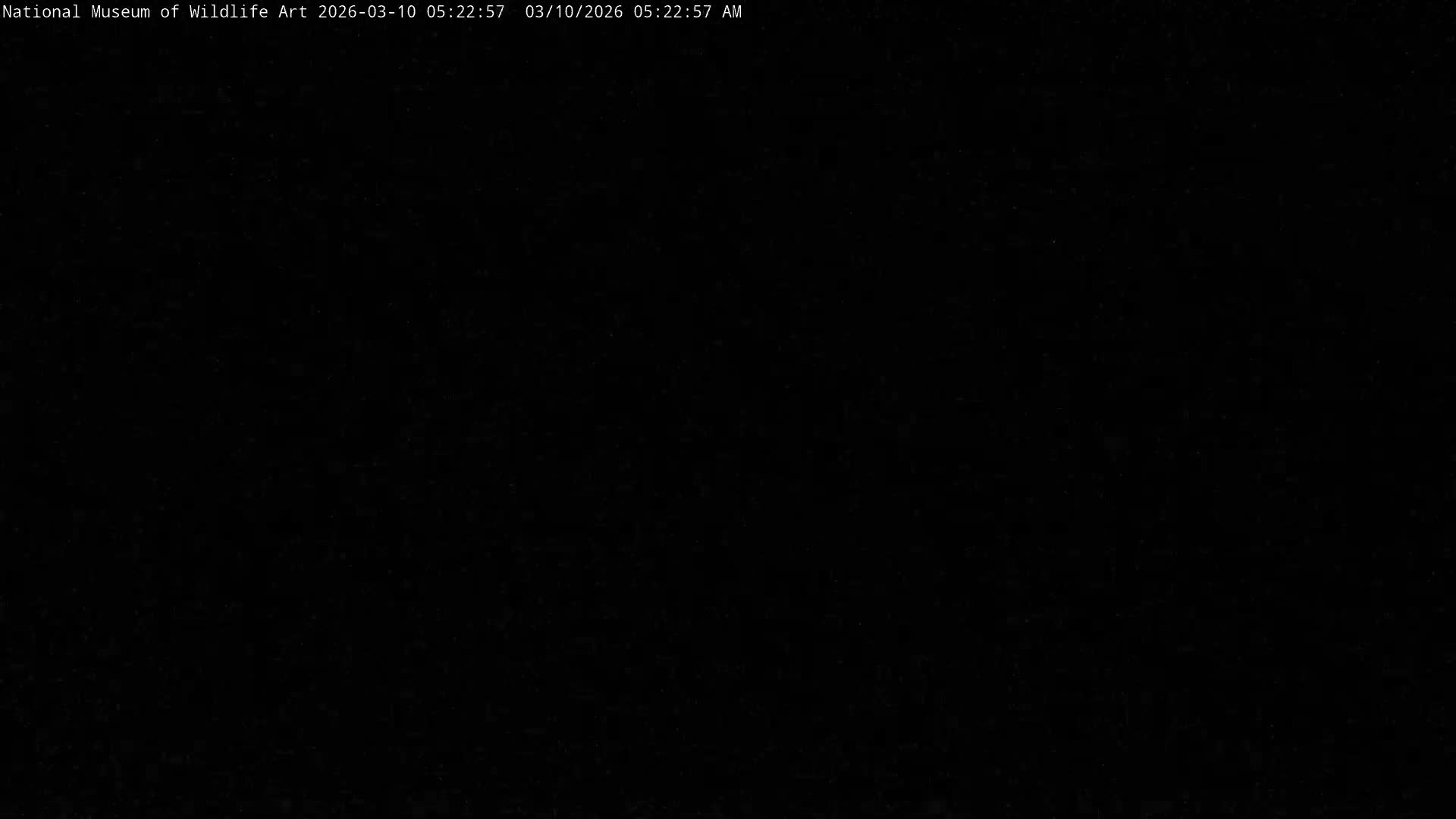 Jackson Hole, Elk Refuge from National Museum of Wildlife Art Live Cam -  Jackson, Teton, Wyoming, USA