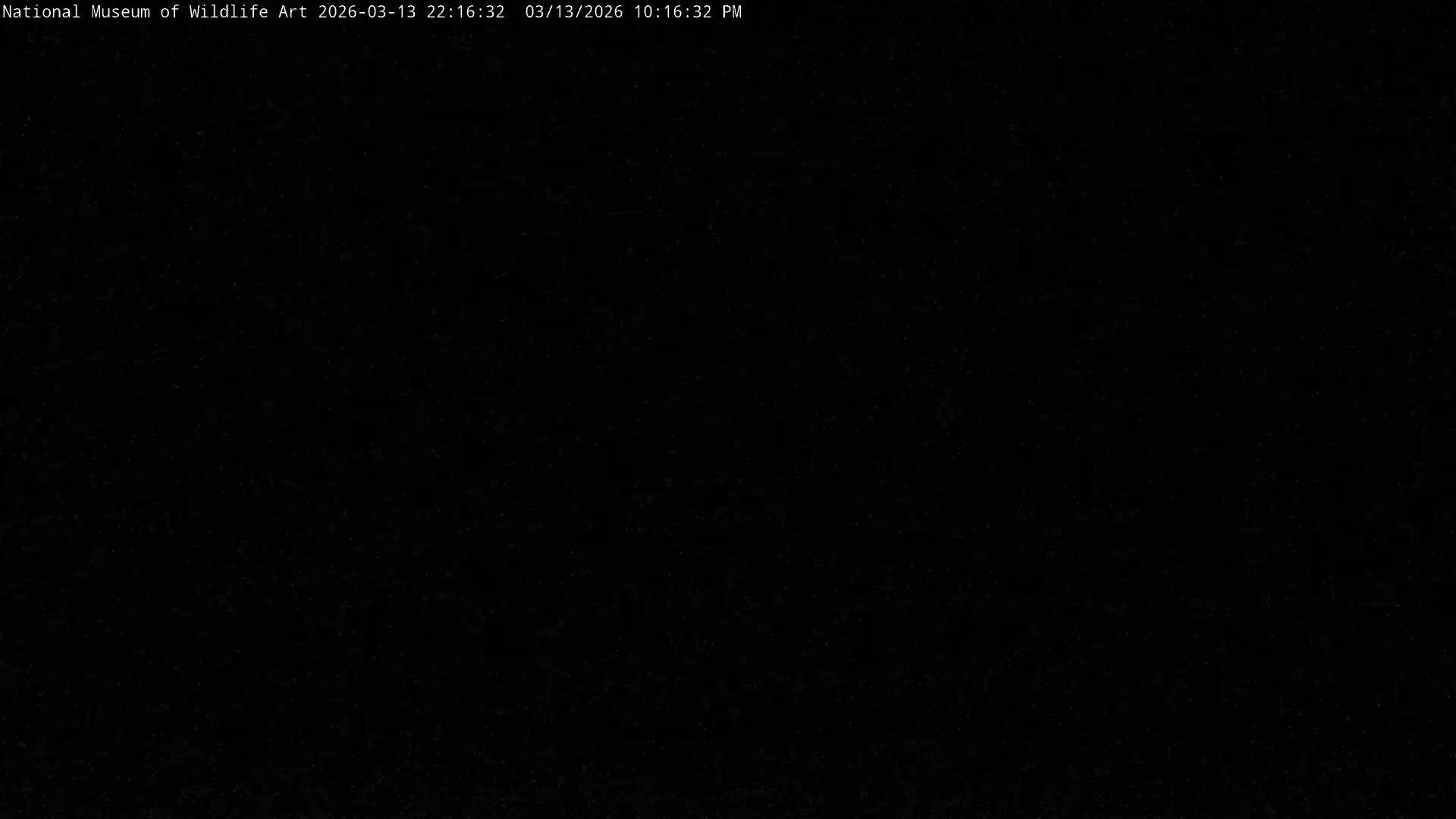 Jackson Hole, Elk Refuge from National Museum of Wildlife Art Live Cam -  Jackson, Teton, Wyoming, USA