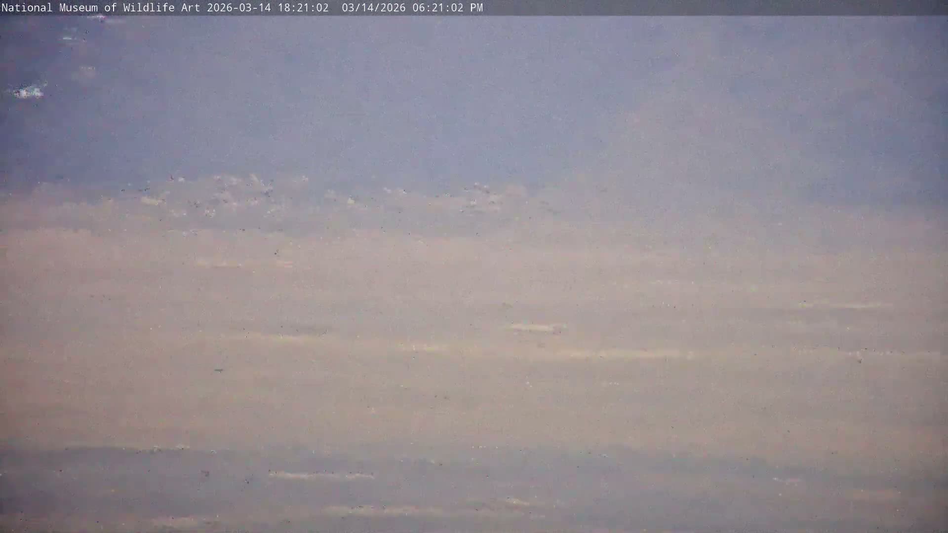 Jackson Hole, Elk Refuge from National Museum of Wildlife Art Live Cam -  Jackson, Teton, Wyoming, USA