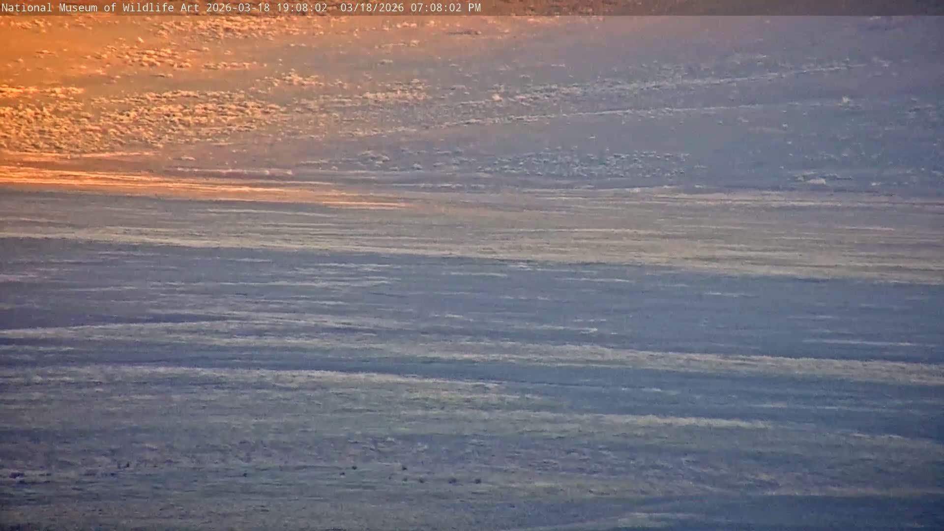 Jackson Hole, Elk Refuge from National Museum of Wildlife Art Live Cam -  Jackson, Teton, Wyoming, USA