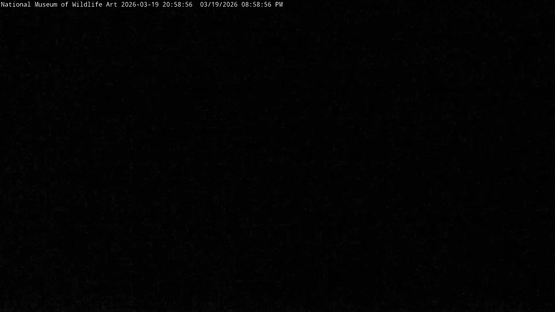 Jackson Hole, Elk Refuge from National Museum of Wildlife Art Live Cam -  Jackson, Teton, Wyoming, USA