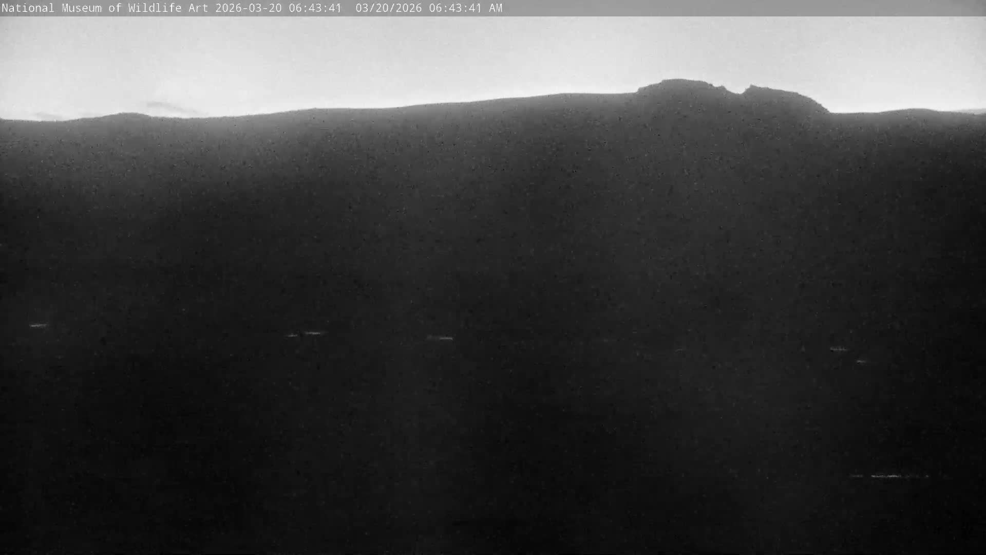 Jackson Hole, Elk Refuge from National Museum of Wildlife Art Live Cam -  Jackson, Teton, Wyoming, USA
