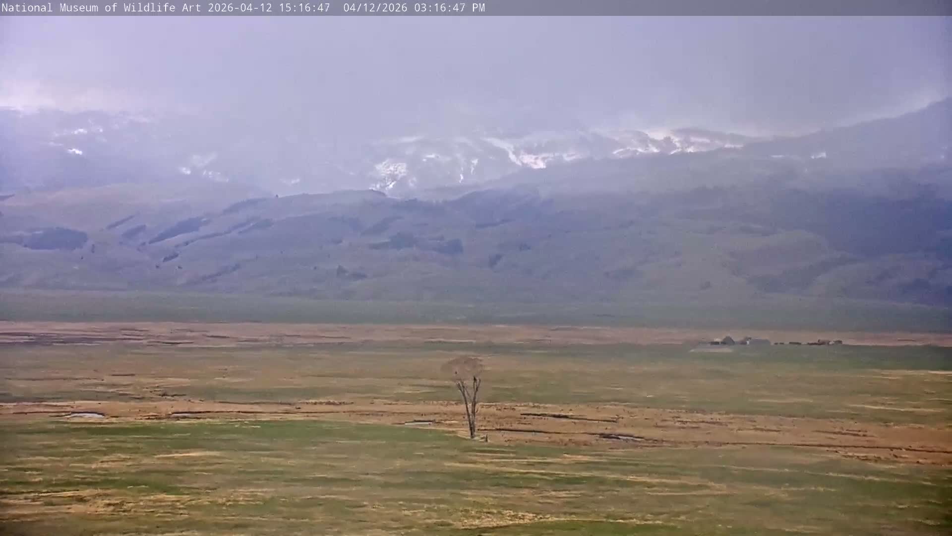 Jackson Hole, Elk Refuge from National Museum of Wildlife Art Live Cam -  Jackson, Teton, Wyoming, USA