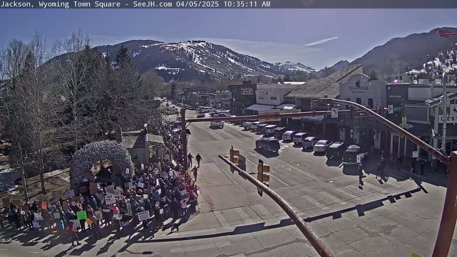 A large group of people holding signs are protesting in a town square on a sunny day, with mountains visible in the background and cars parked along the street.
