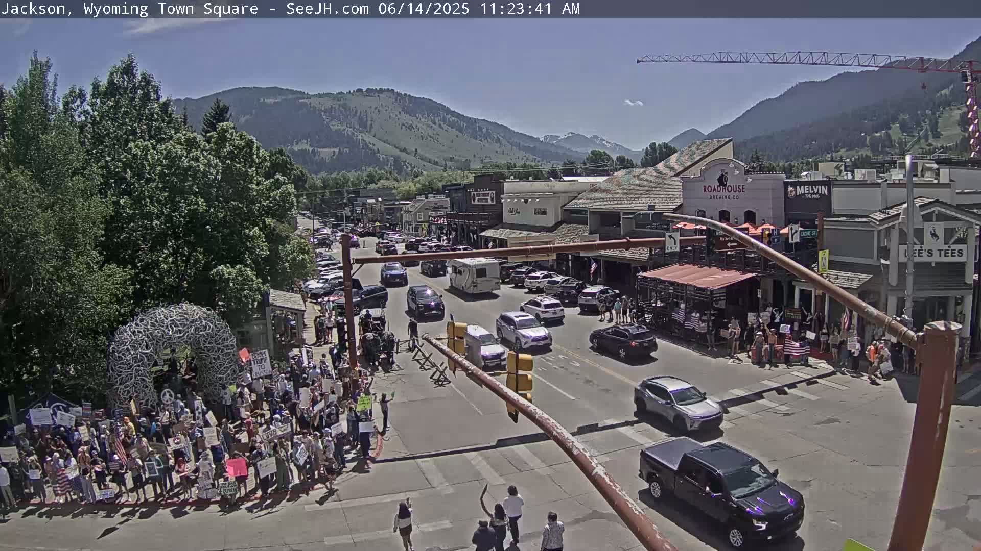 A large crowd of people holding signs stands at a town square intersection on a sunny day, with cars driving past and buildings lining the street, backed by mountains.