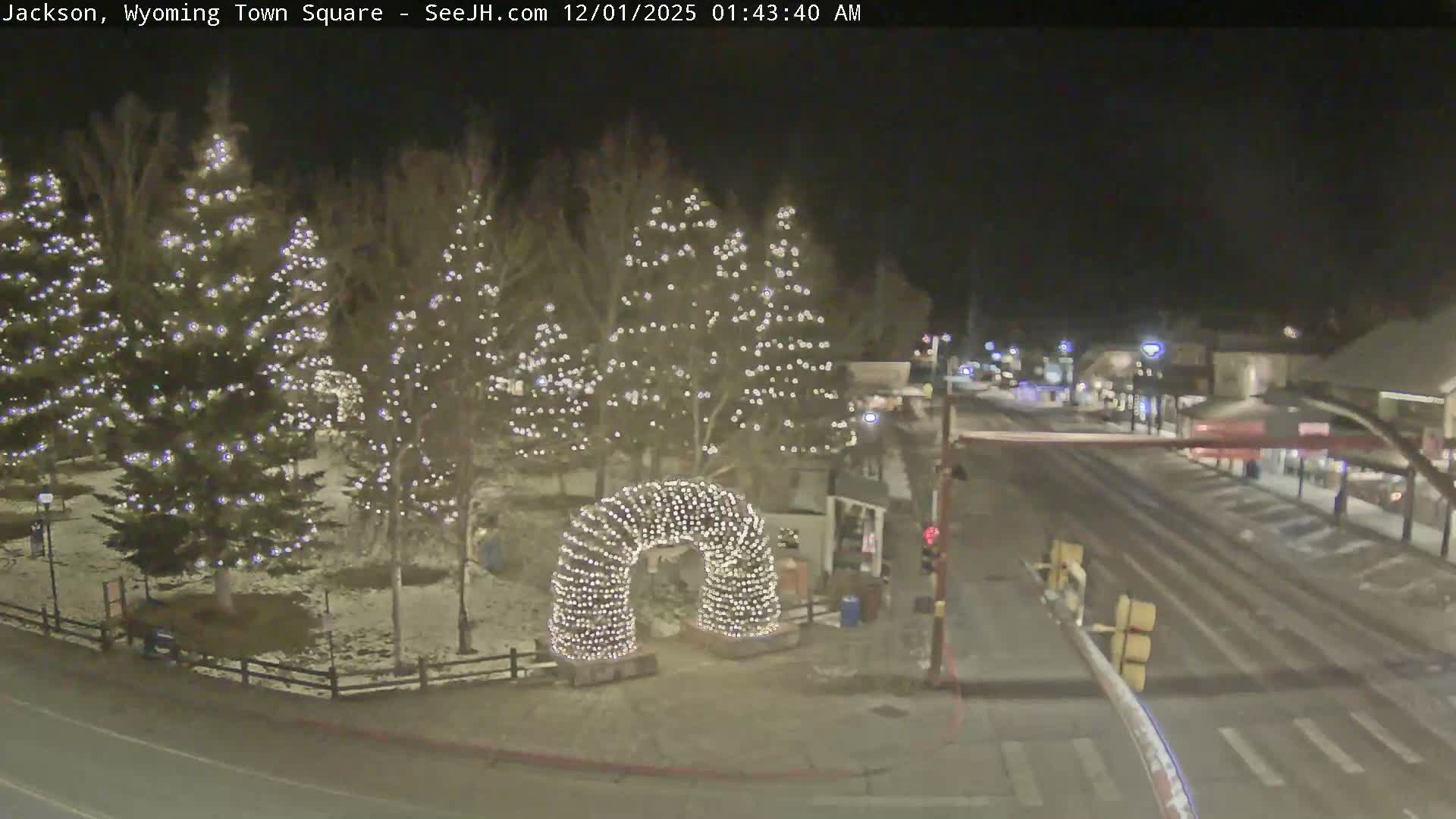 A clear and cold winter night illuminates a town square with numerous evergreen trees and a decorative arch brightly adorned with white string lights, bordered by a street and buildings in the background.