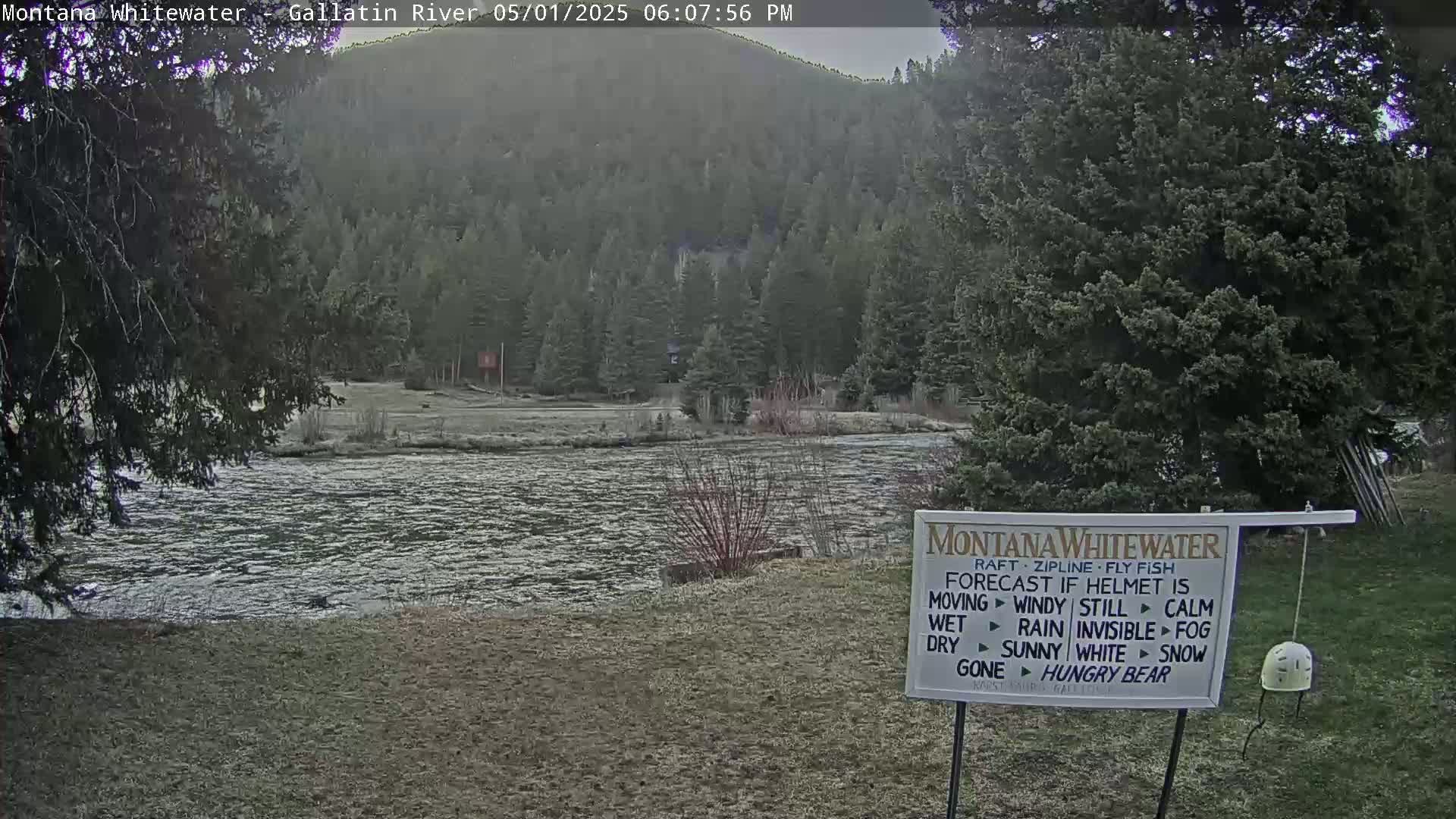 A calm river flows past a grassy bank, bordered by evergreen trees under an overcast sky.