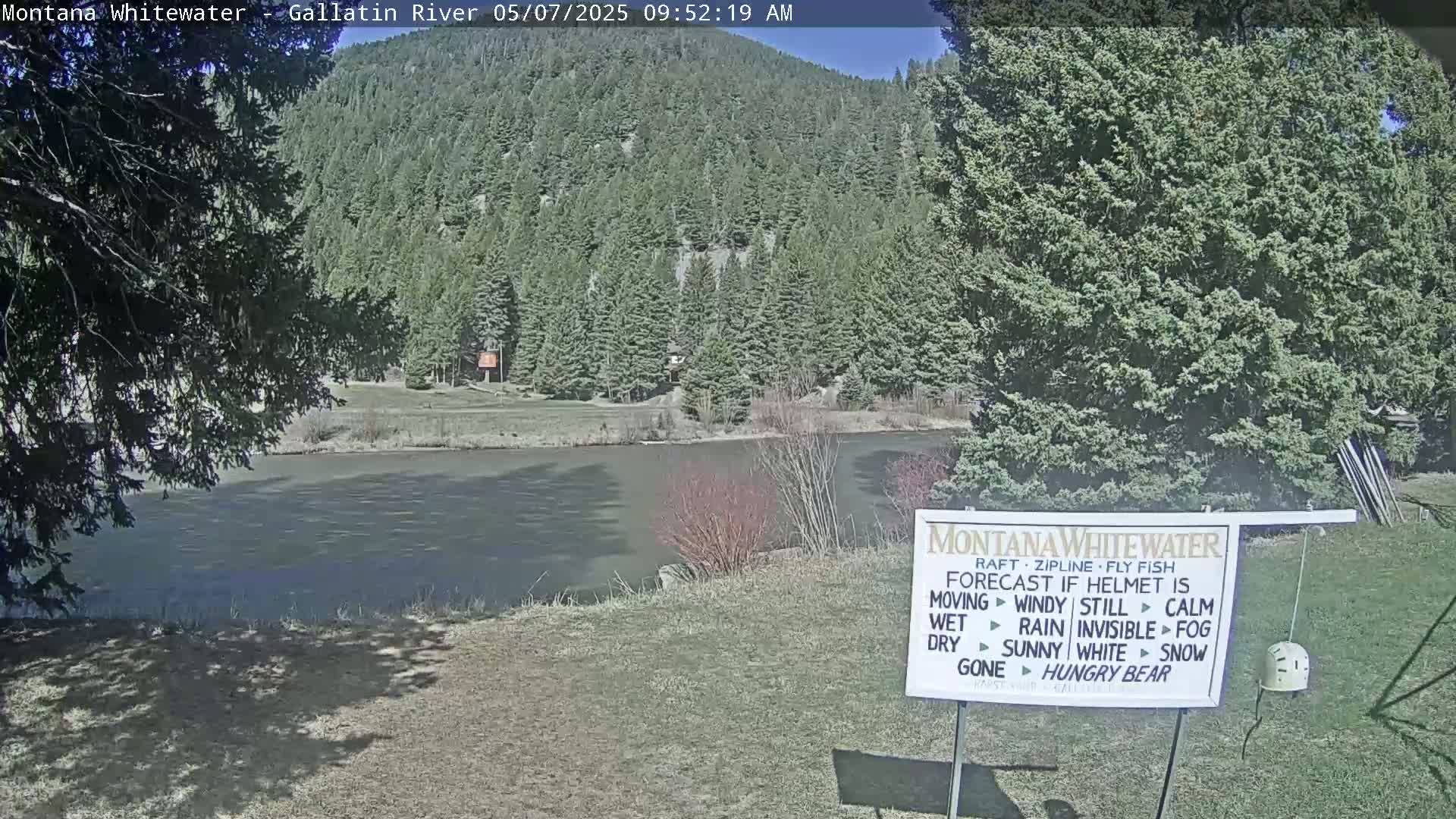 A calm river flows beneath a sunny sky, past a grassy bank and evergreen trees covering a hillside.