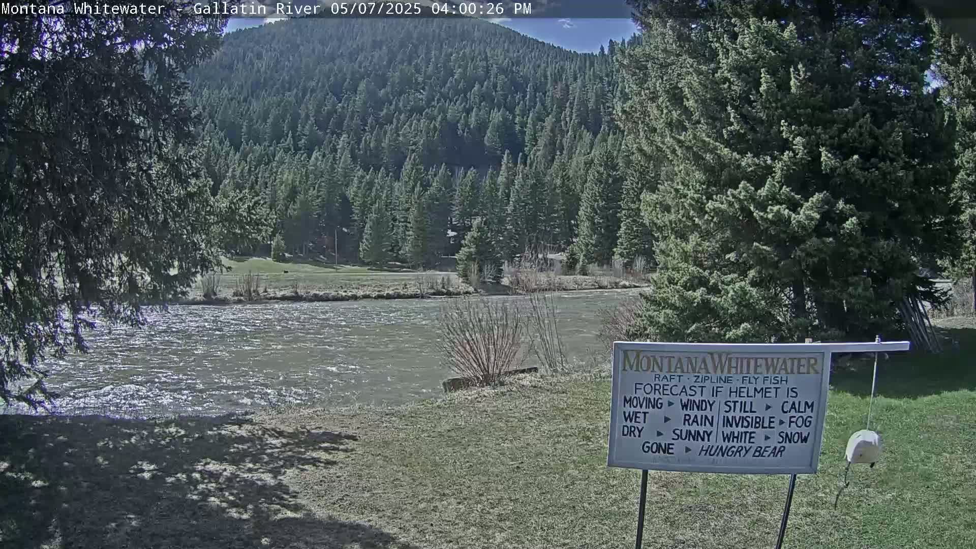 A partly sunny day shows a swiftly flowing river bordered by green grass and a dense forest of evergreen trees on a hillside.