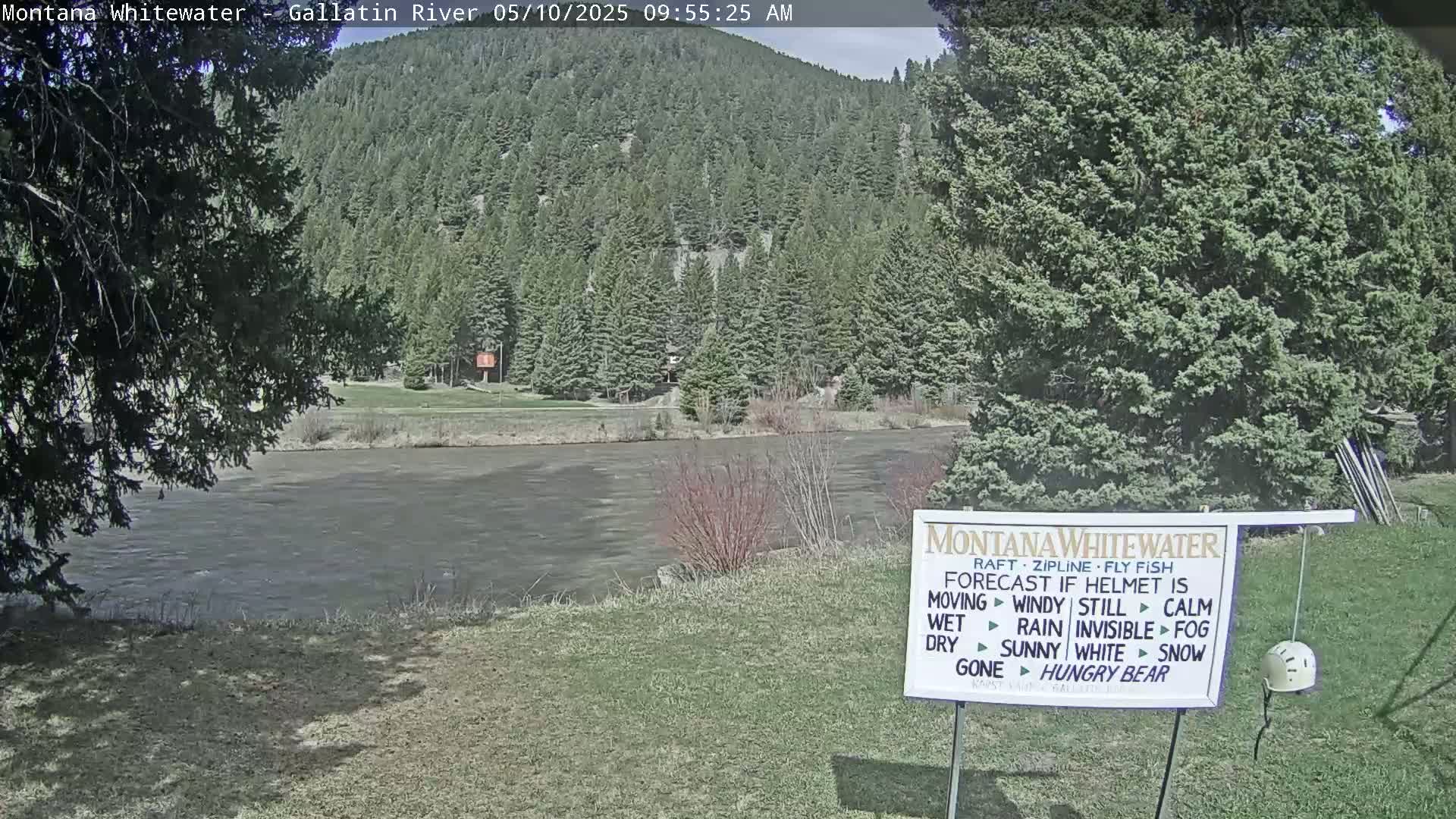 A calm river flows beneath a sunny sky past a grassy bank lined with evergreens and a forested hillside.